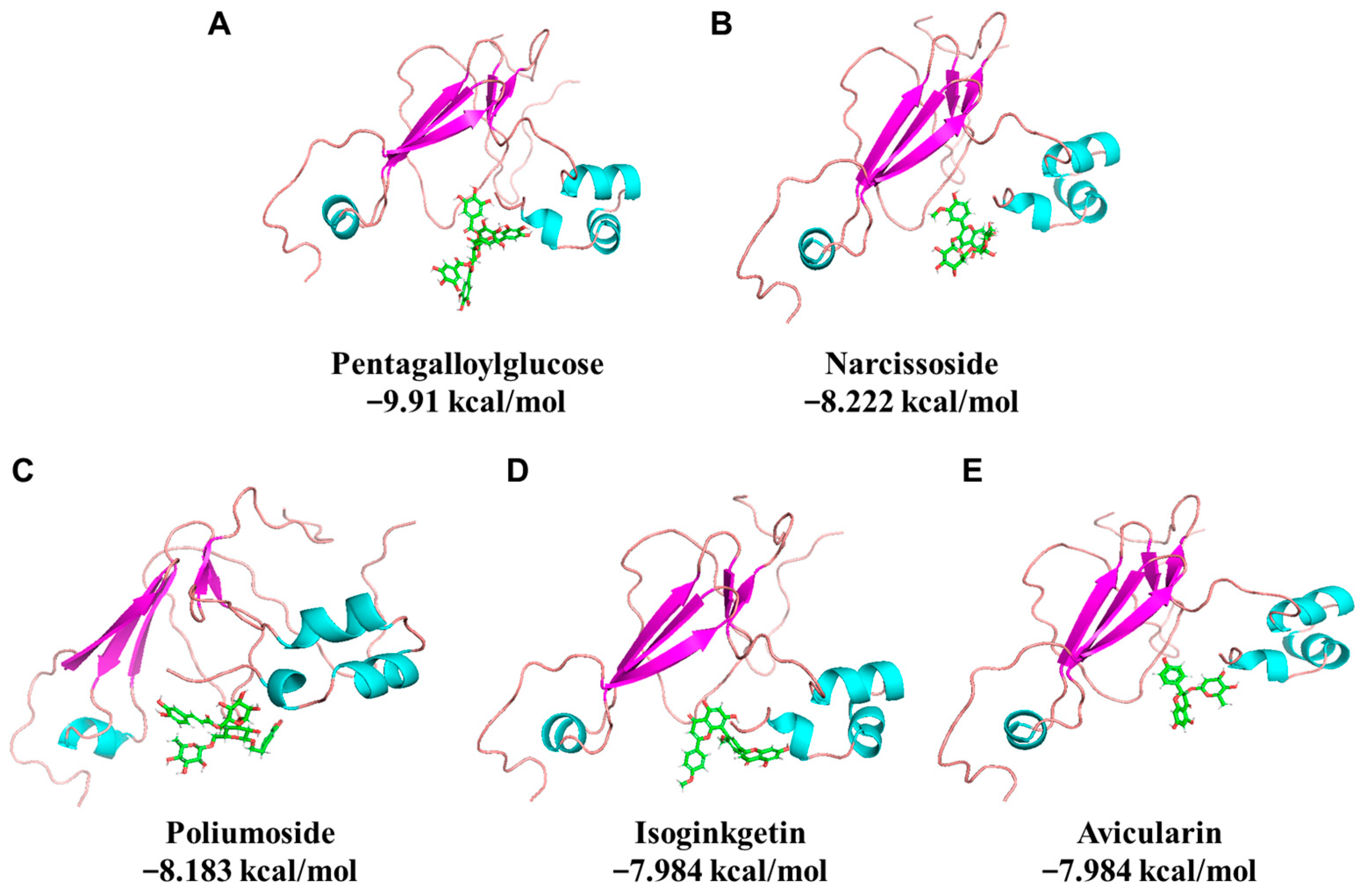 Foods 12 00272 g001 Foods 12 00272 g001
