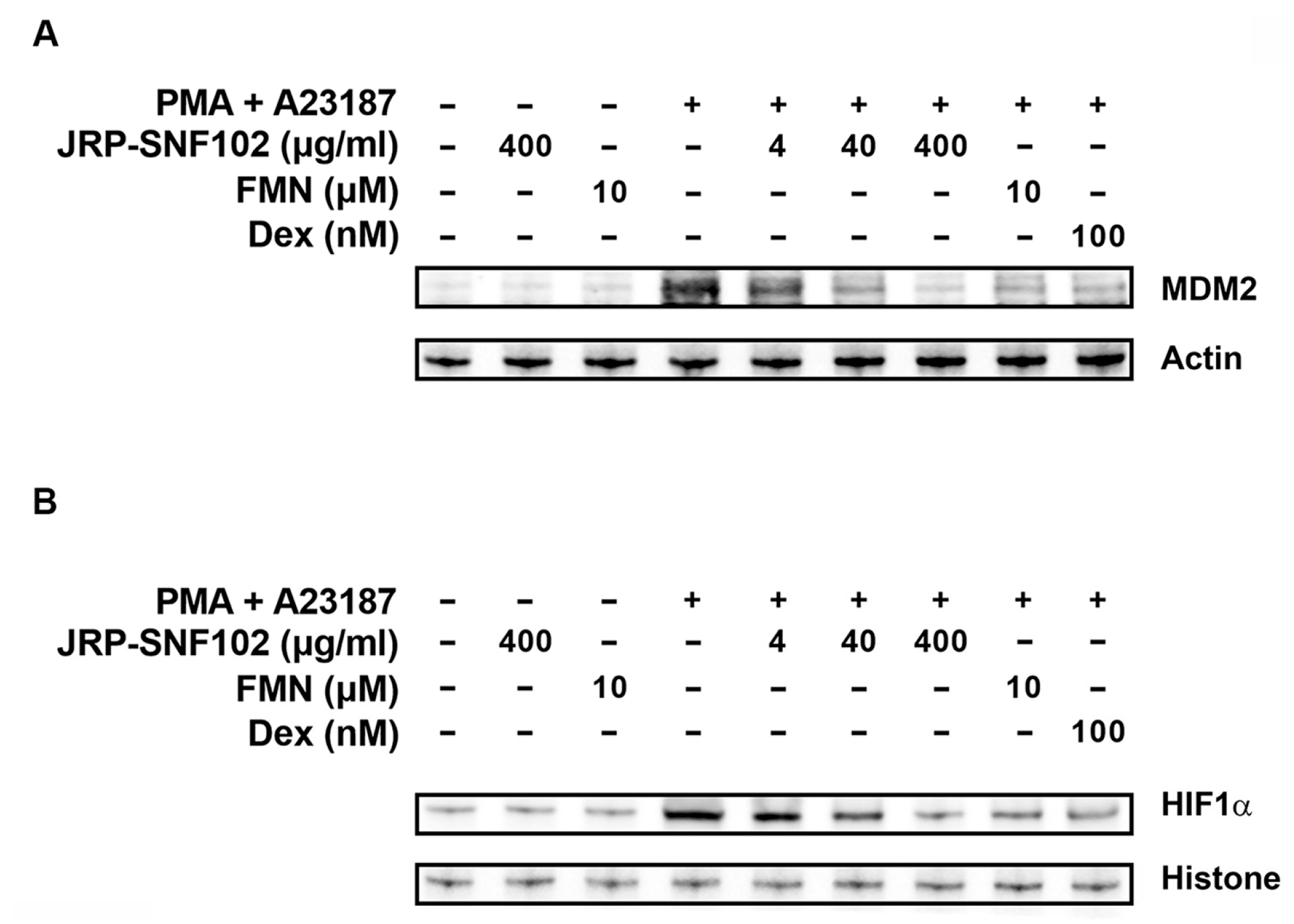 Foods 12 00276 g003 Foods 12 00276 g003