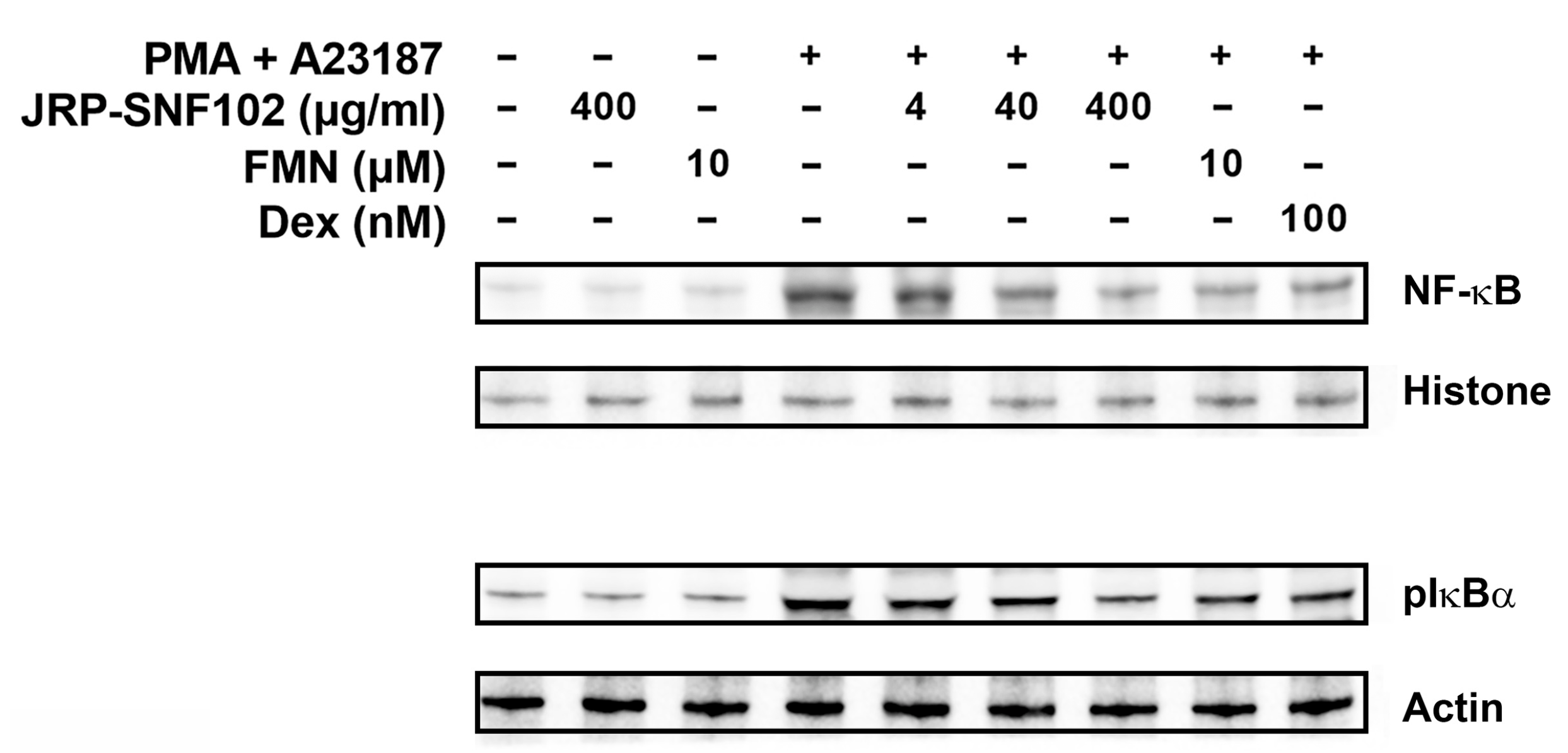 Foods 12 00276 g004 Foods 12 00276 g004