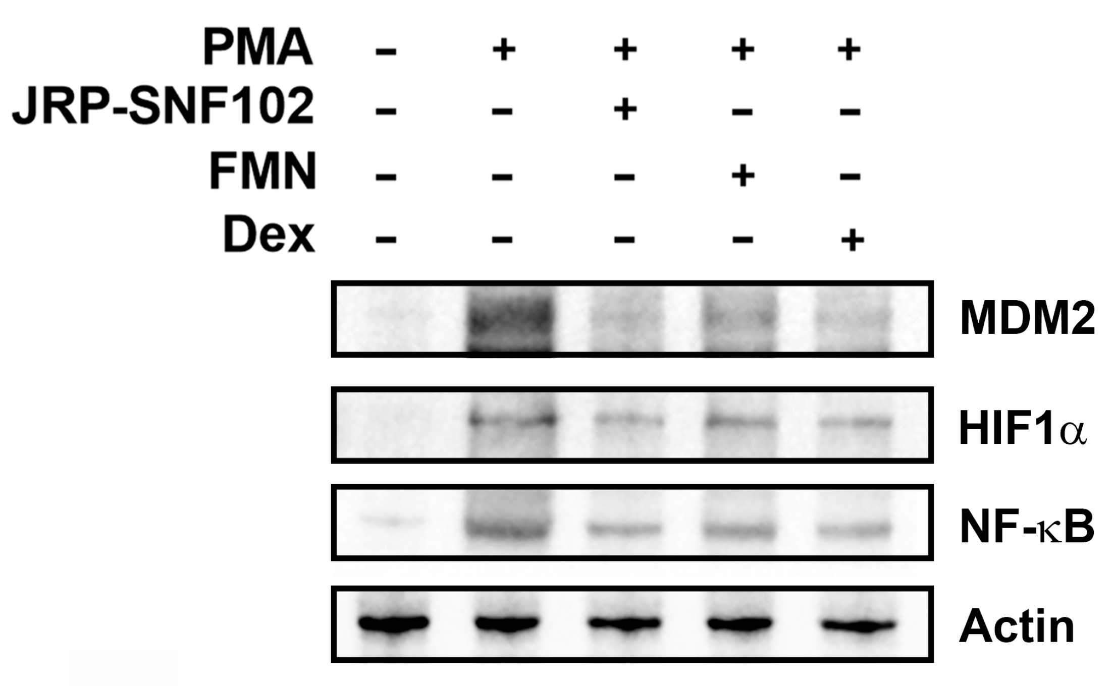 Foods 12 00276 g006 Foods 12 00276 g006