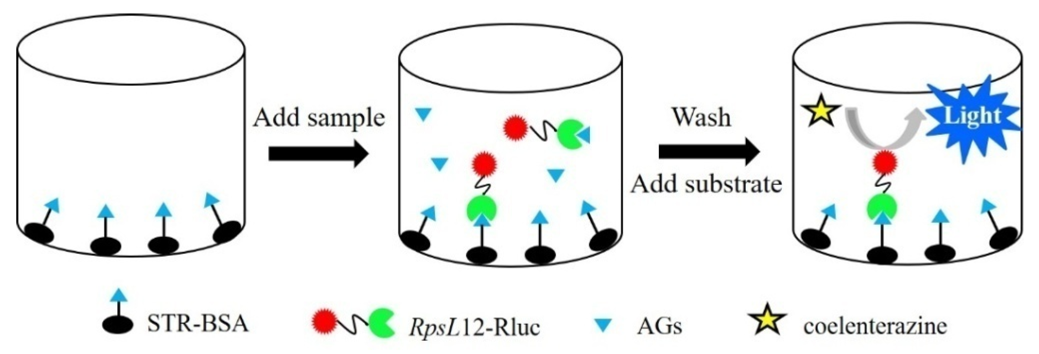 Foods 12 00284 g002 Foods 12 00284 g002