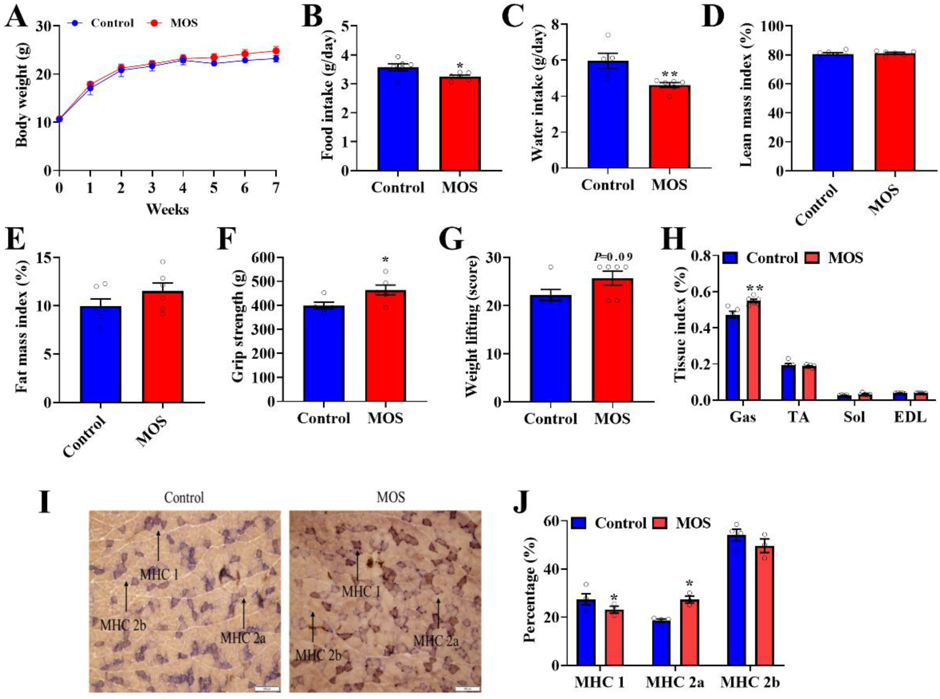 Foods 12 00357 g001 Foods 12 00357 g001