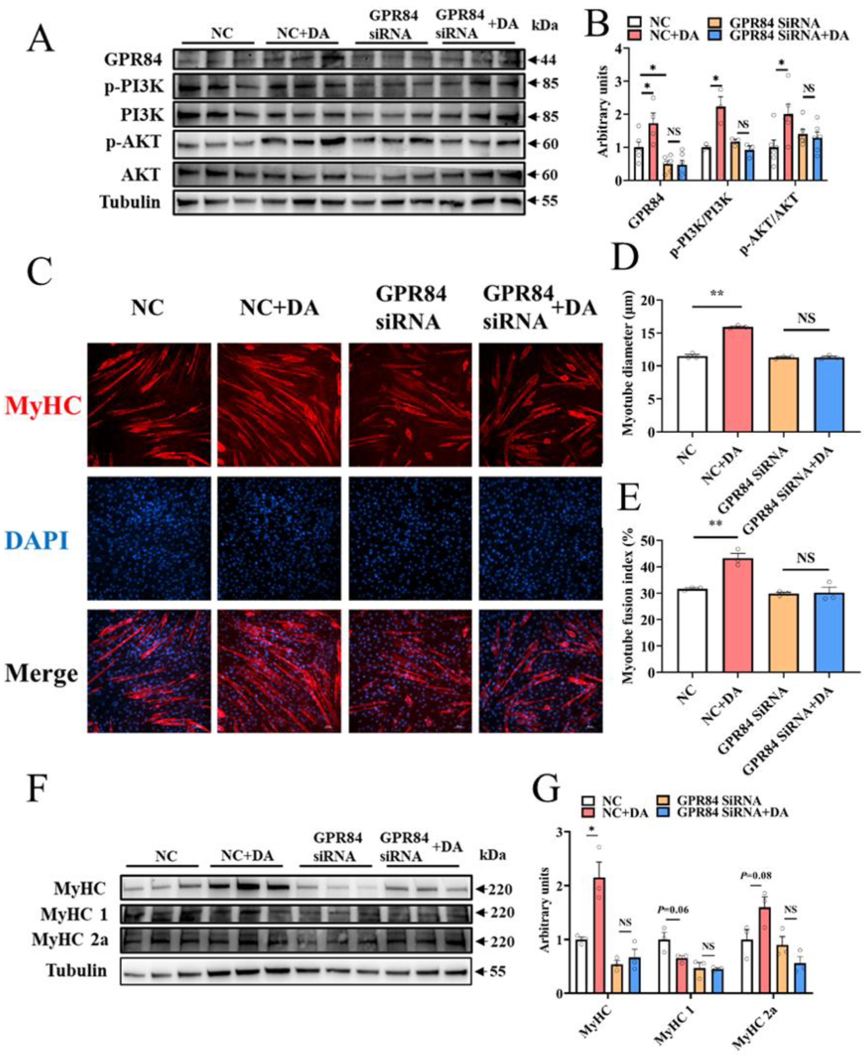 Foods 12 00357 g005 Foods 12 00357 g005