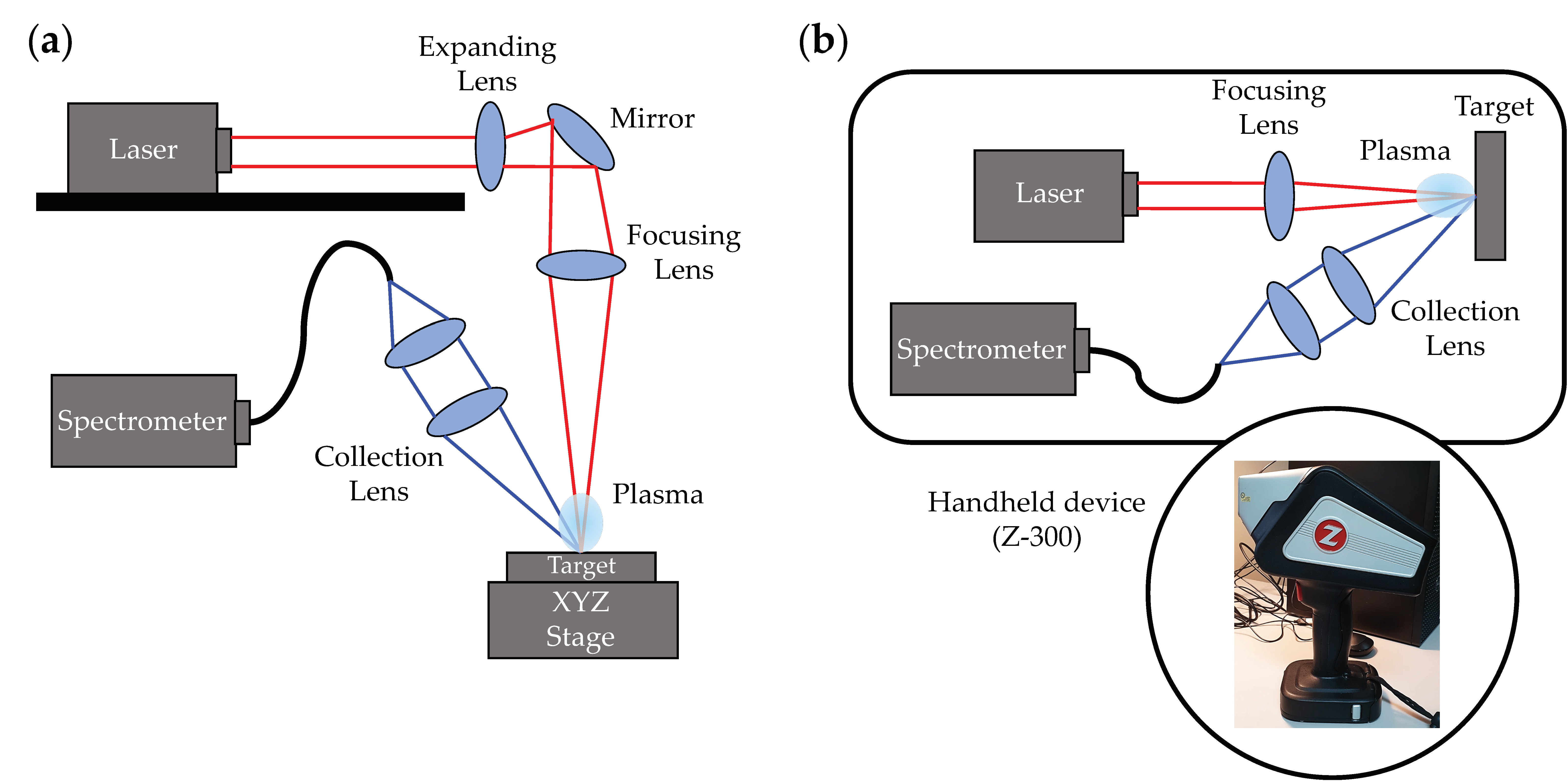 Foods 12 00402 g001 Foods 12 00402 g001