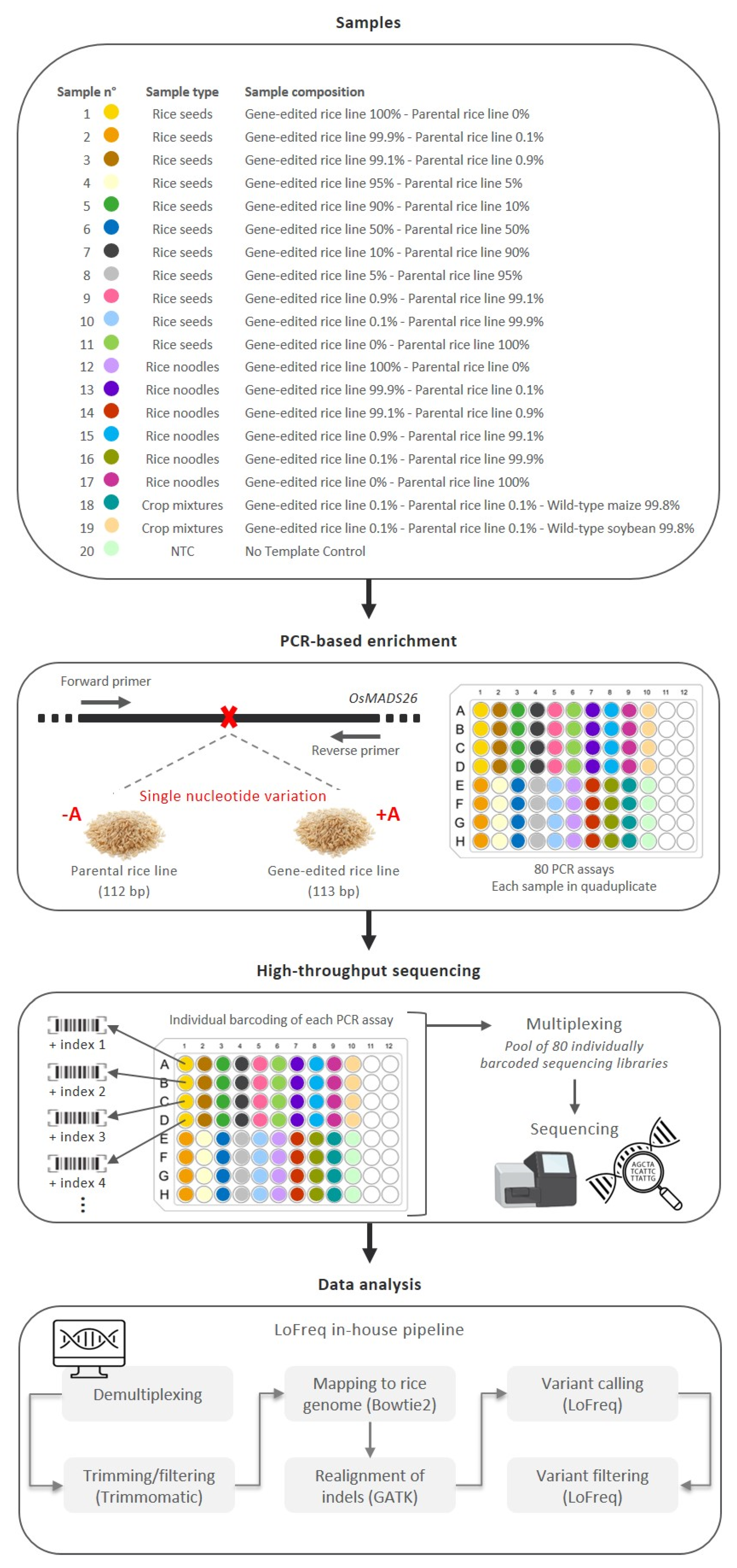 Foods 12 00455 g001 Foods 12 00455 g001