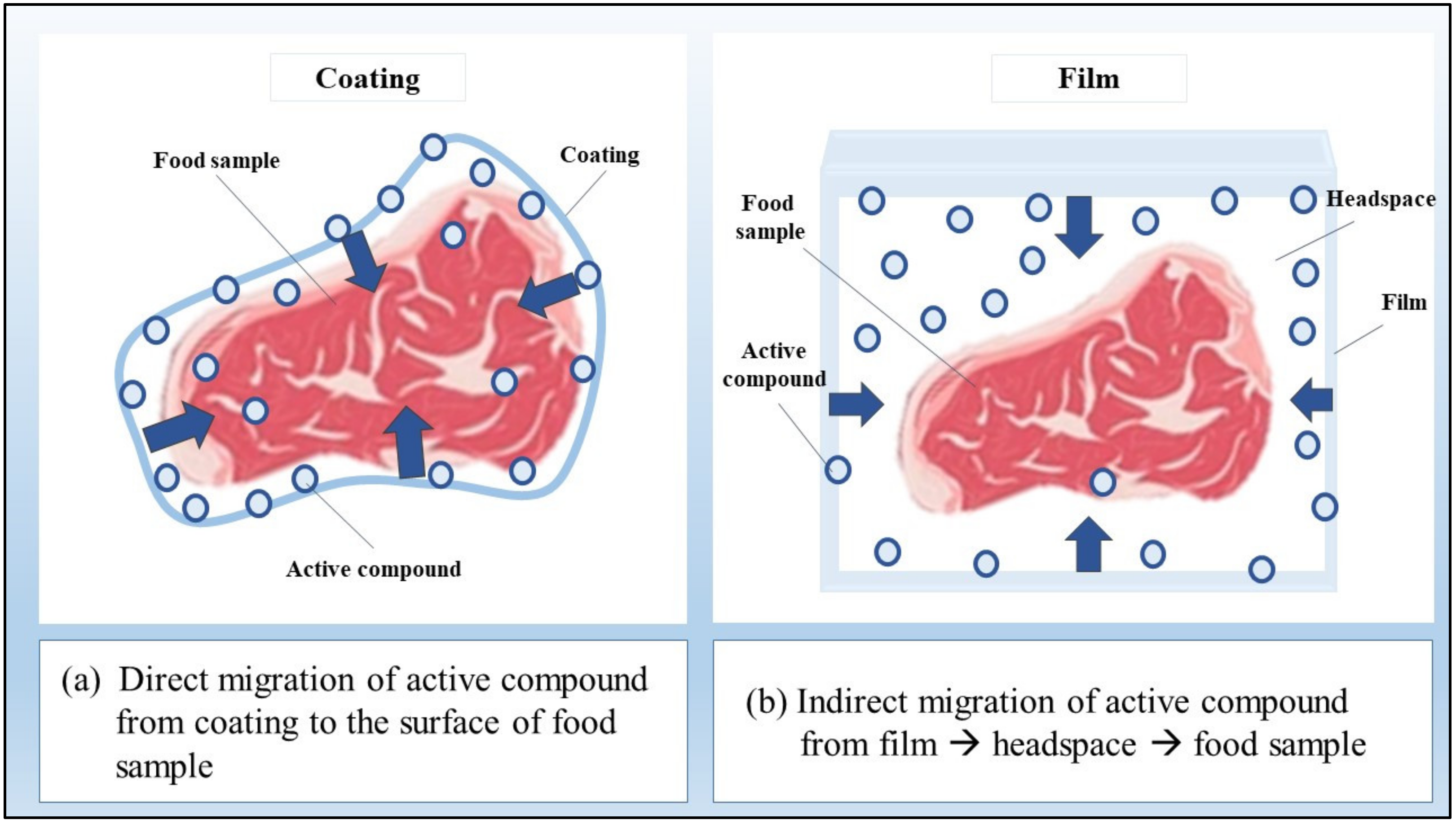 Foods 12 00456 g002 Foods 12 00456 g002