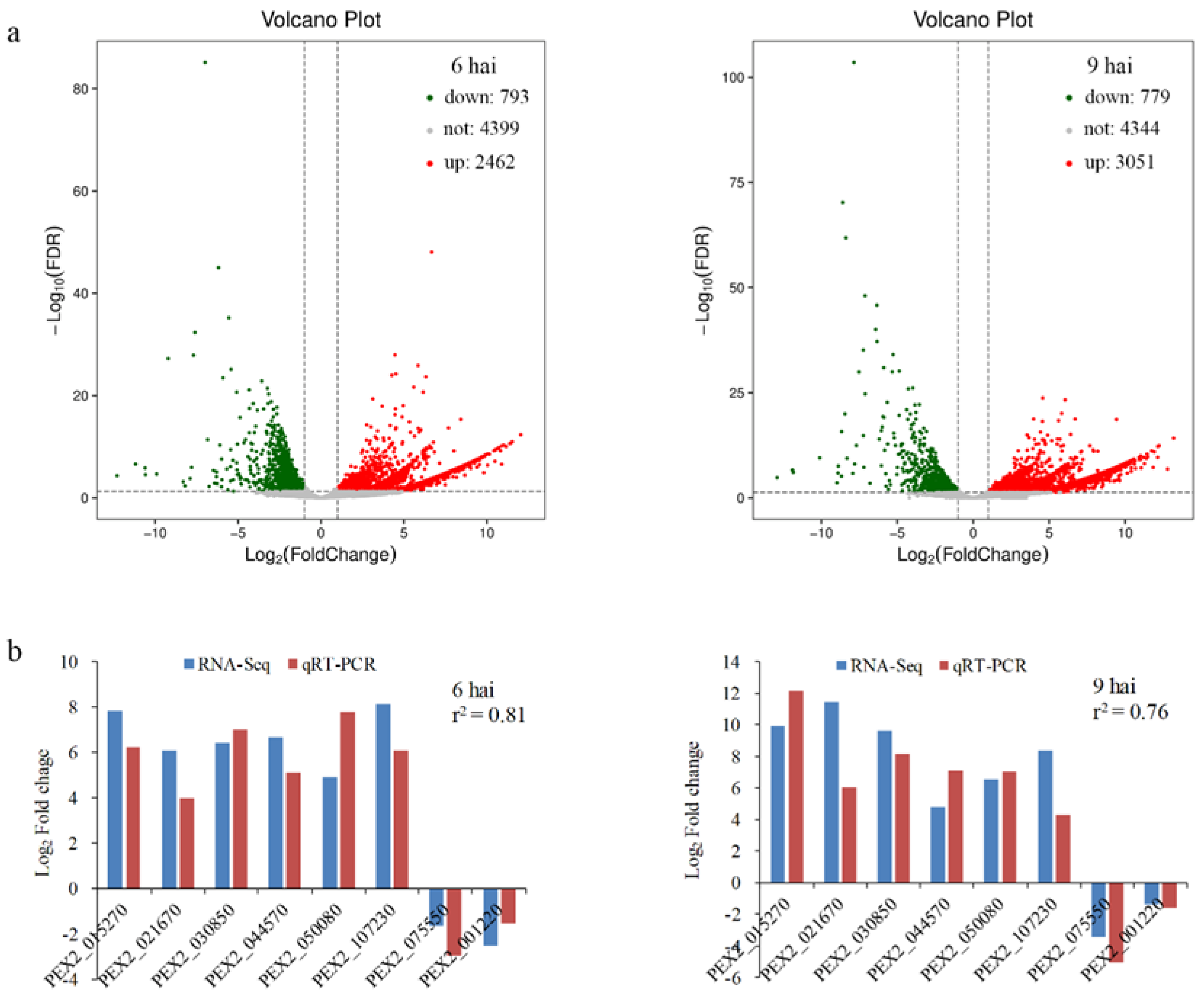 Foods 12 00479 g002 Foods 12 00479 g002