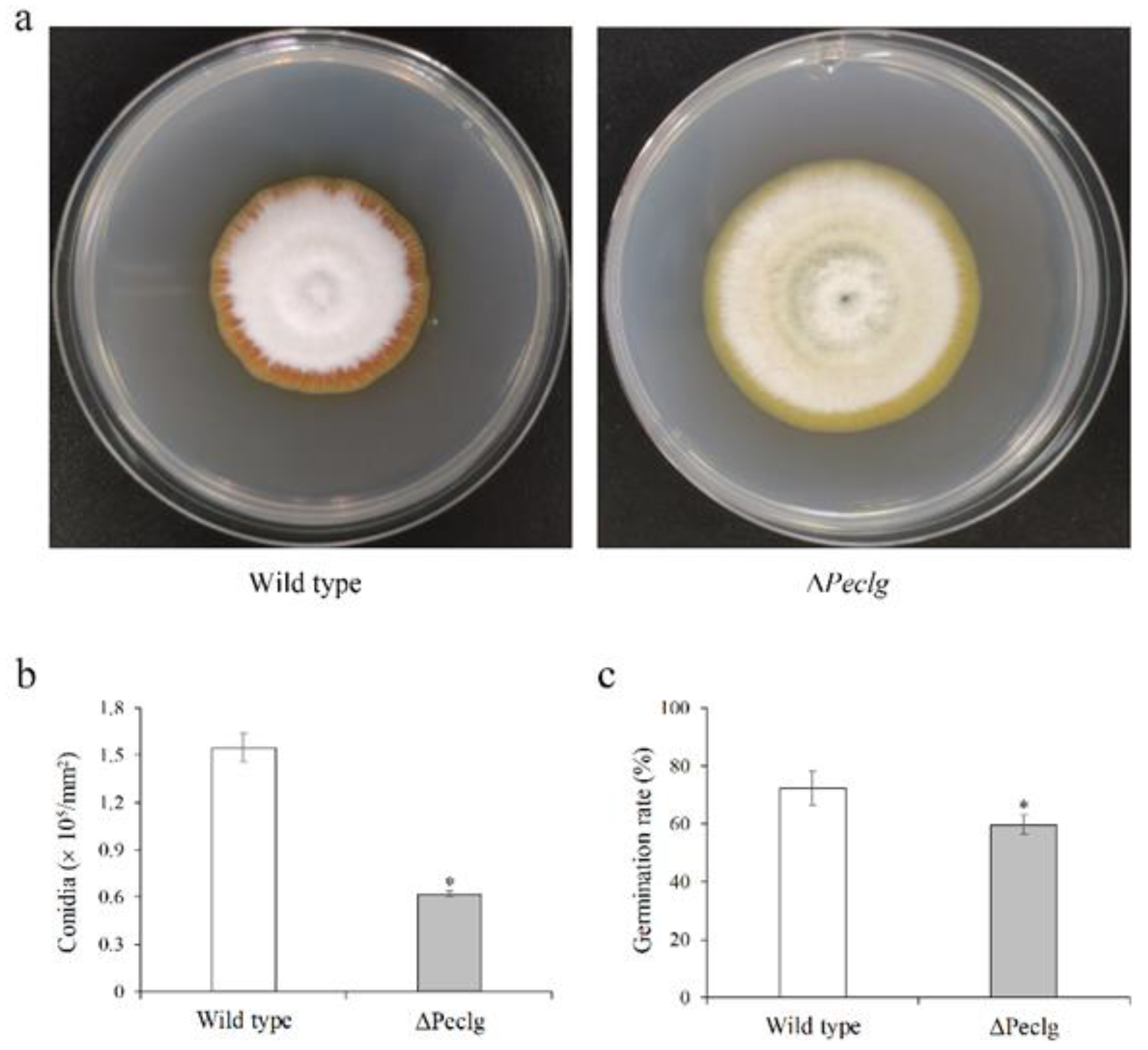 Foods 12 00479 g003 Foods 12 00479 g003