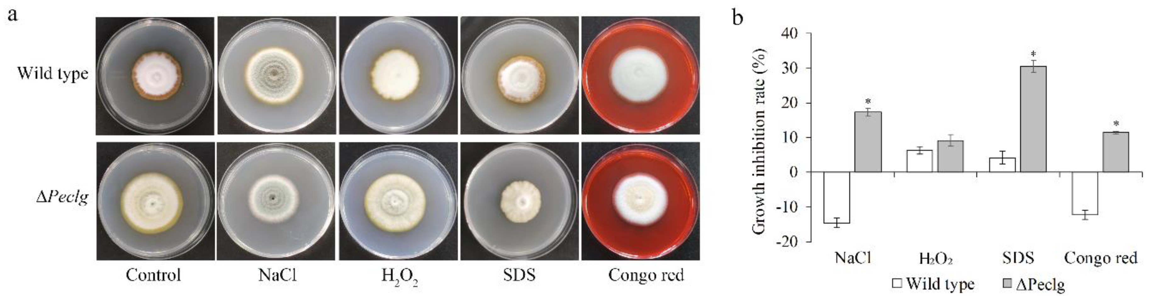 Foods 12 00479 g004 Foods 12 00479 g004
