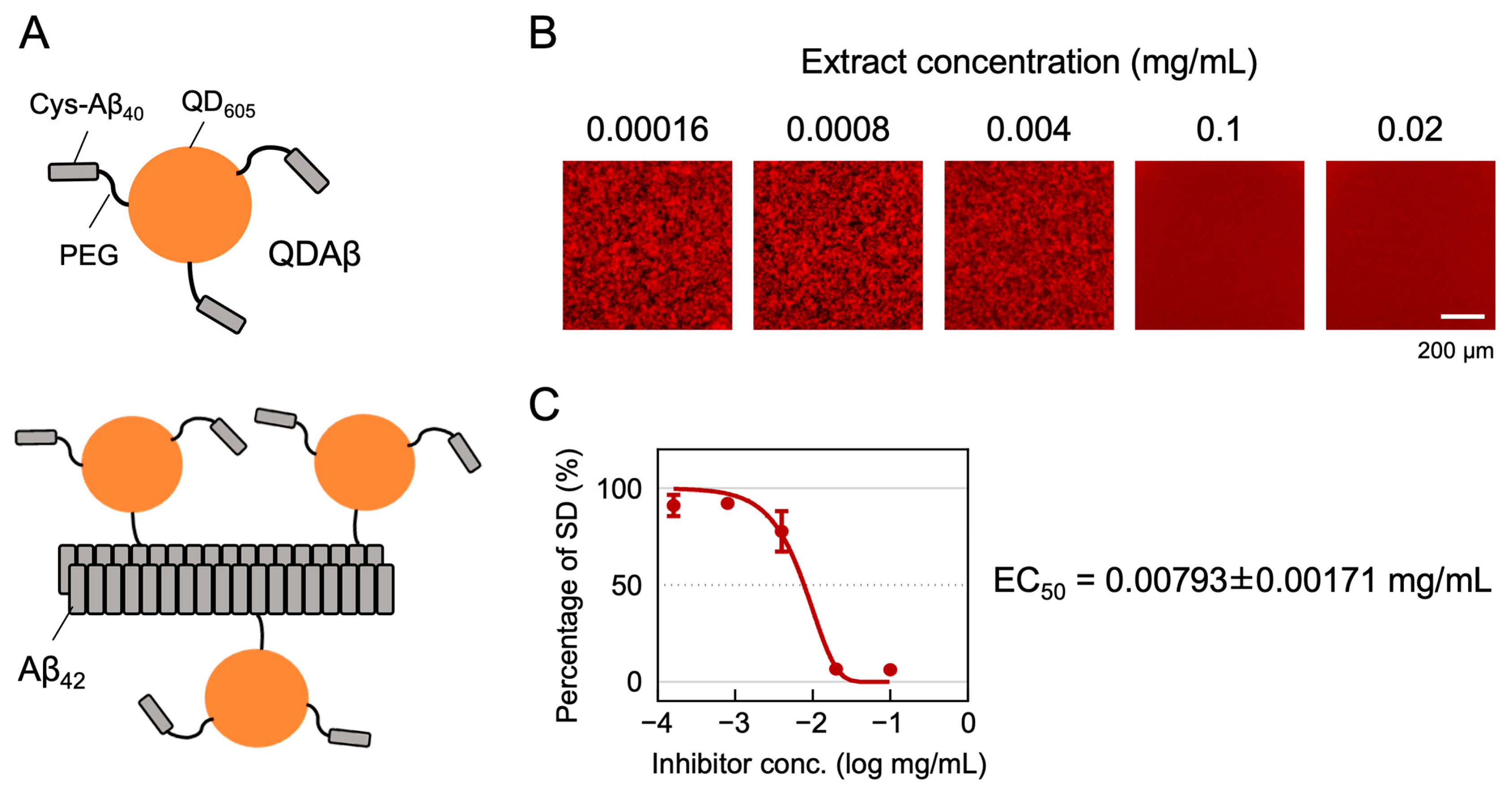 Foods 12 00486 g001 Foods 12 00486 g001