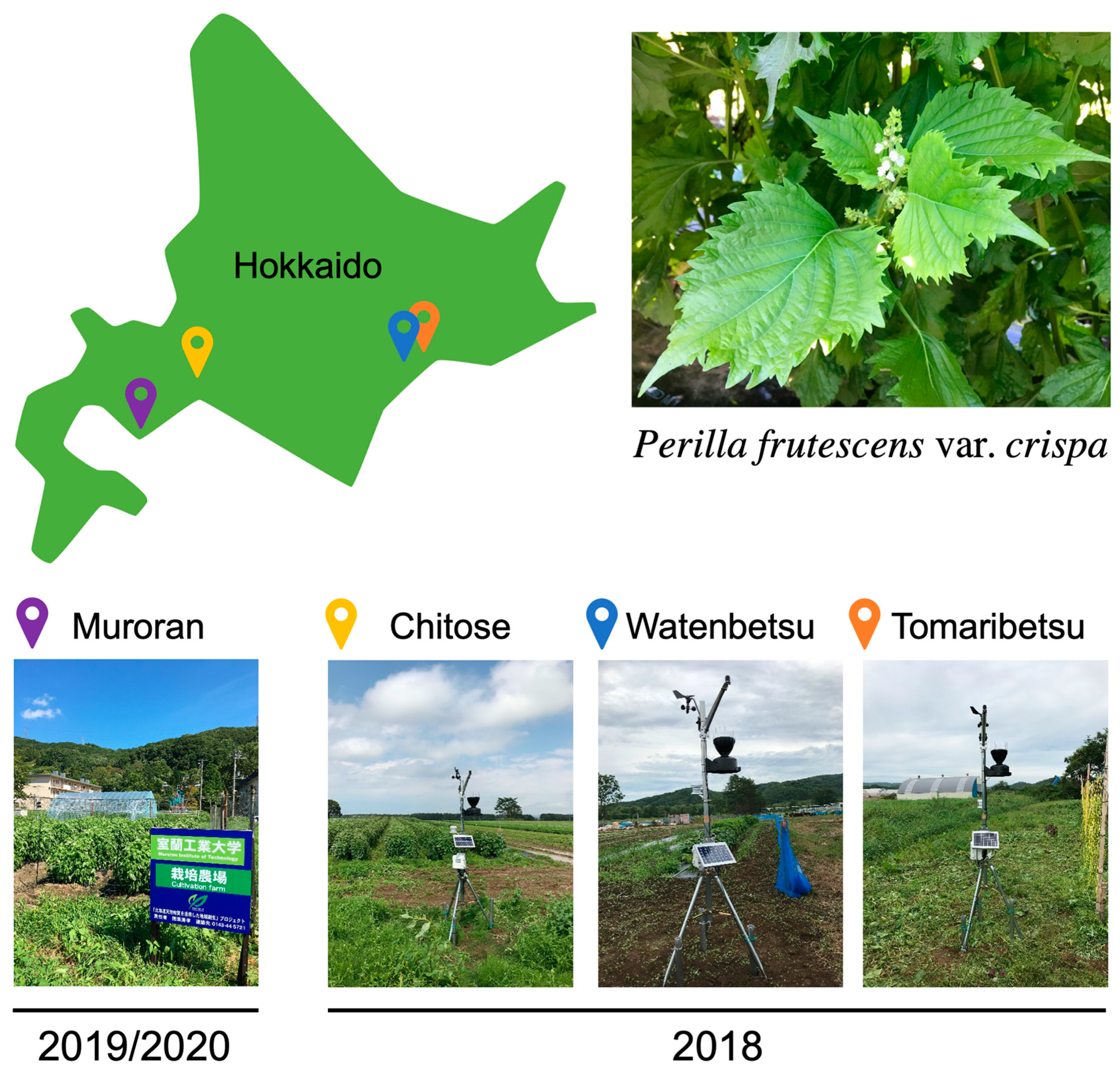 Foods 12 00486 g002 Foods 12 00486 g002