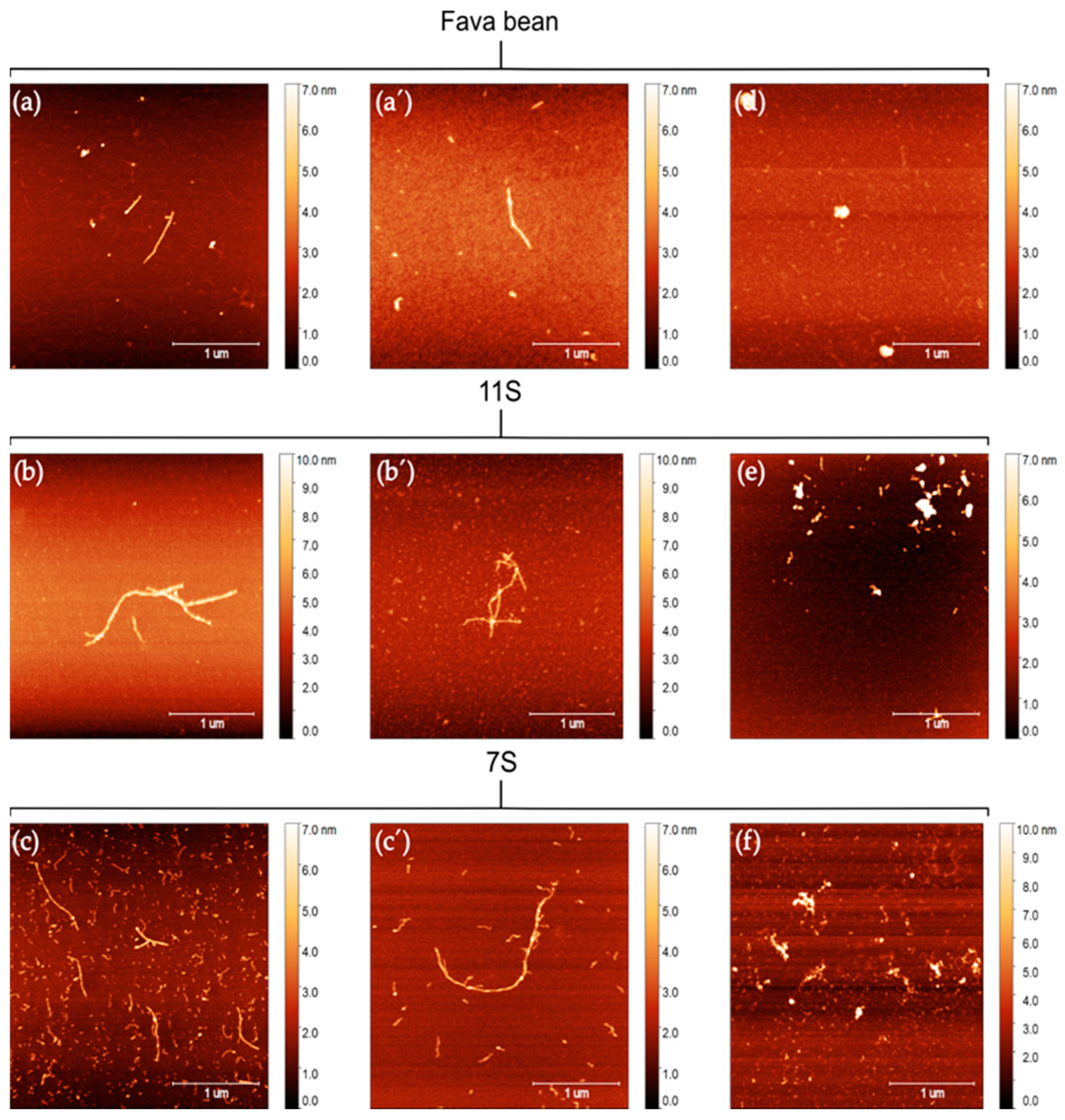 Foods 12 00521 g003 Foods 12 00521 g003