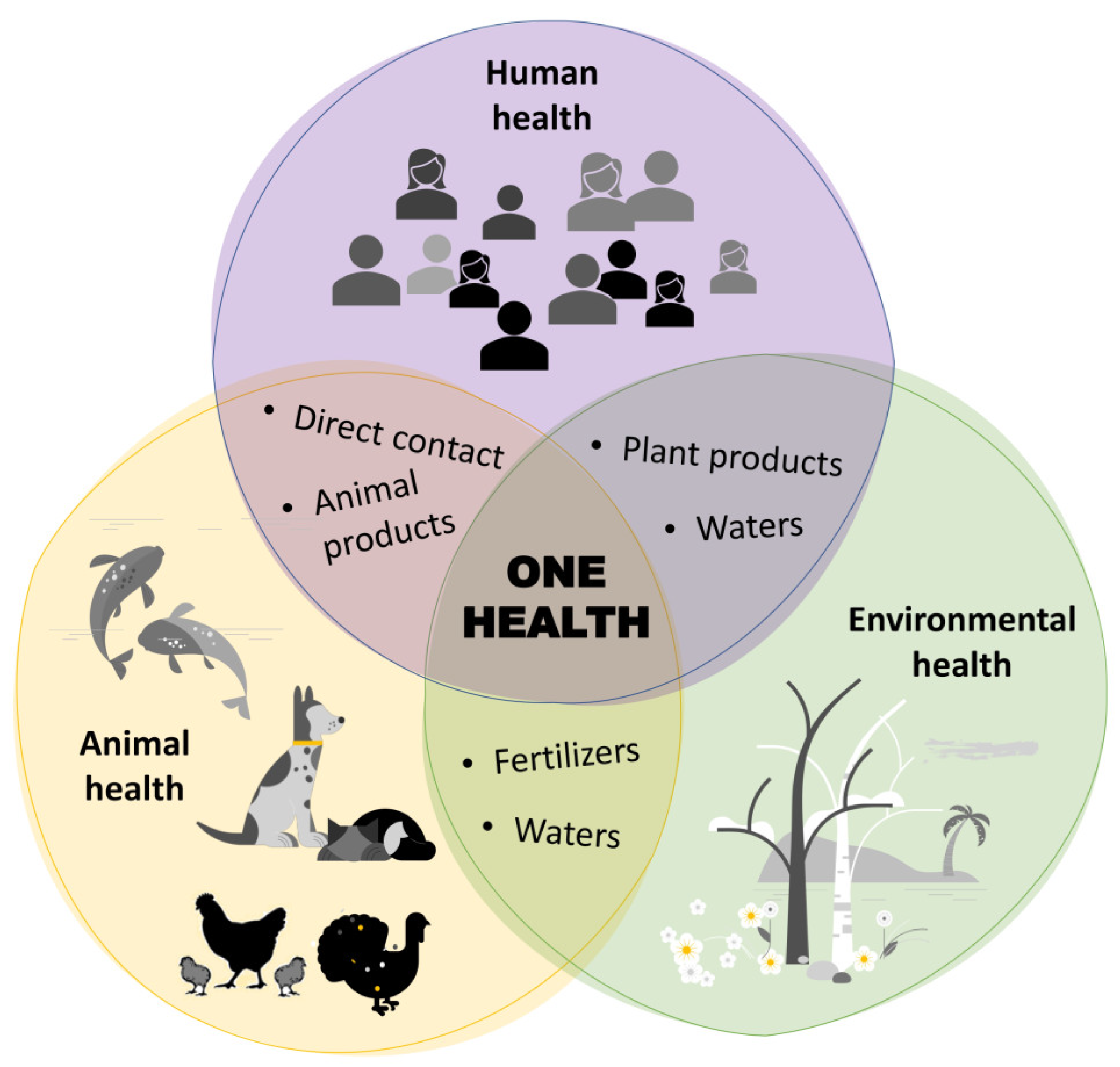 Foods 12 00552 g001 Foods 12 00552 g001