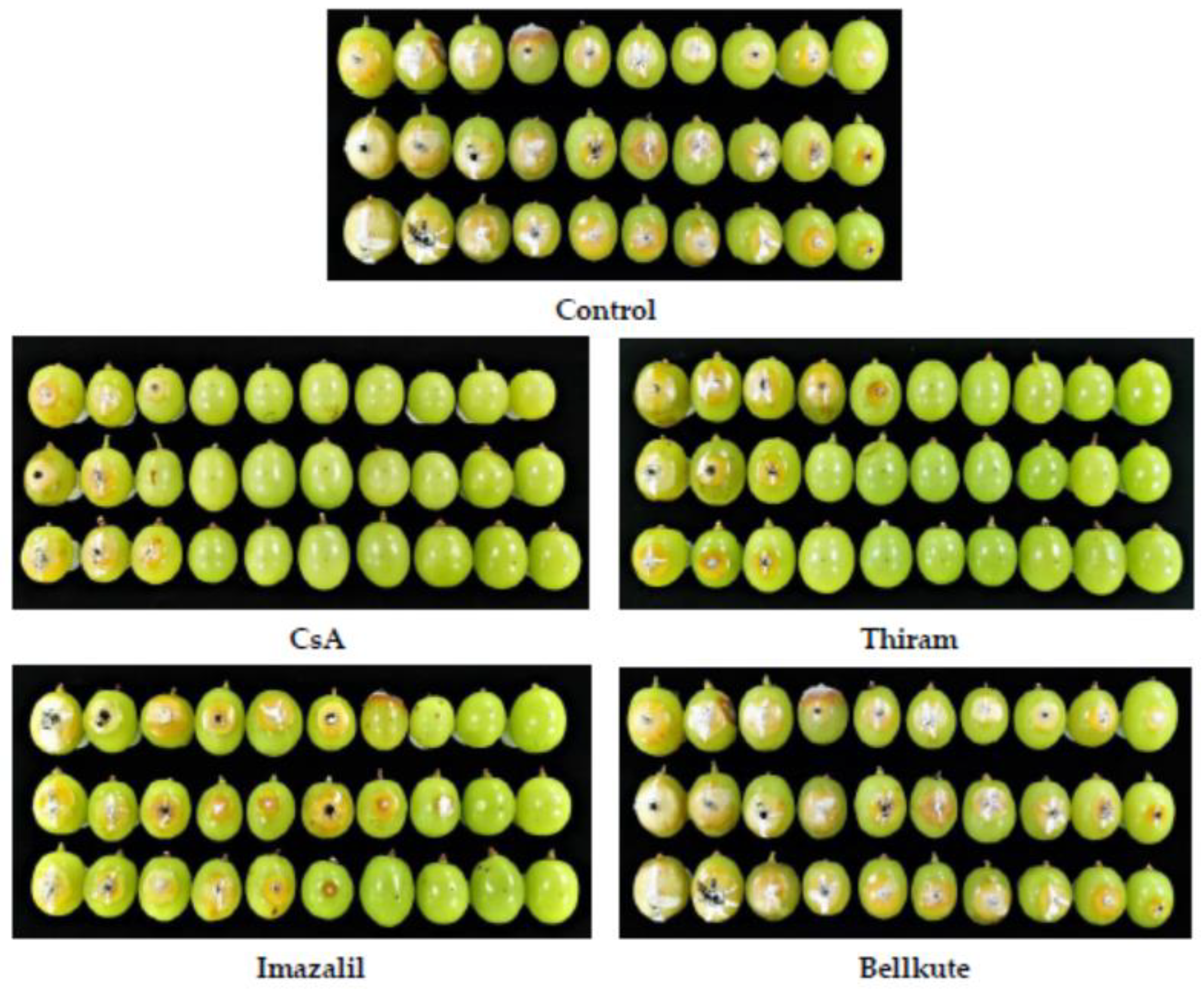 Foods 12 00567 g002 Foods 12 00567 g002