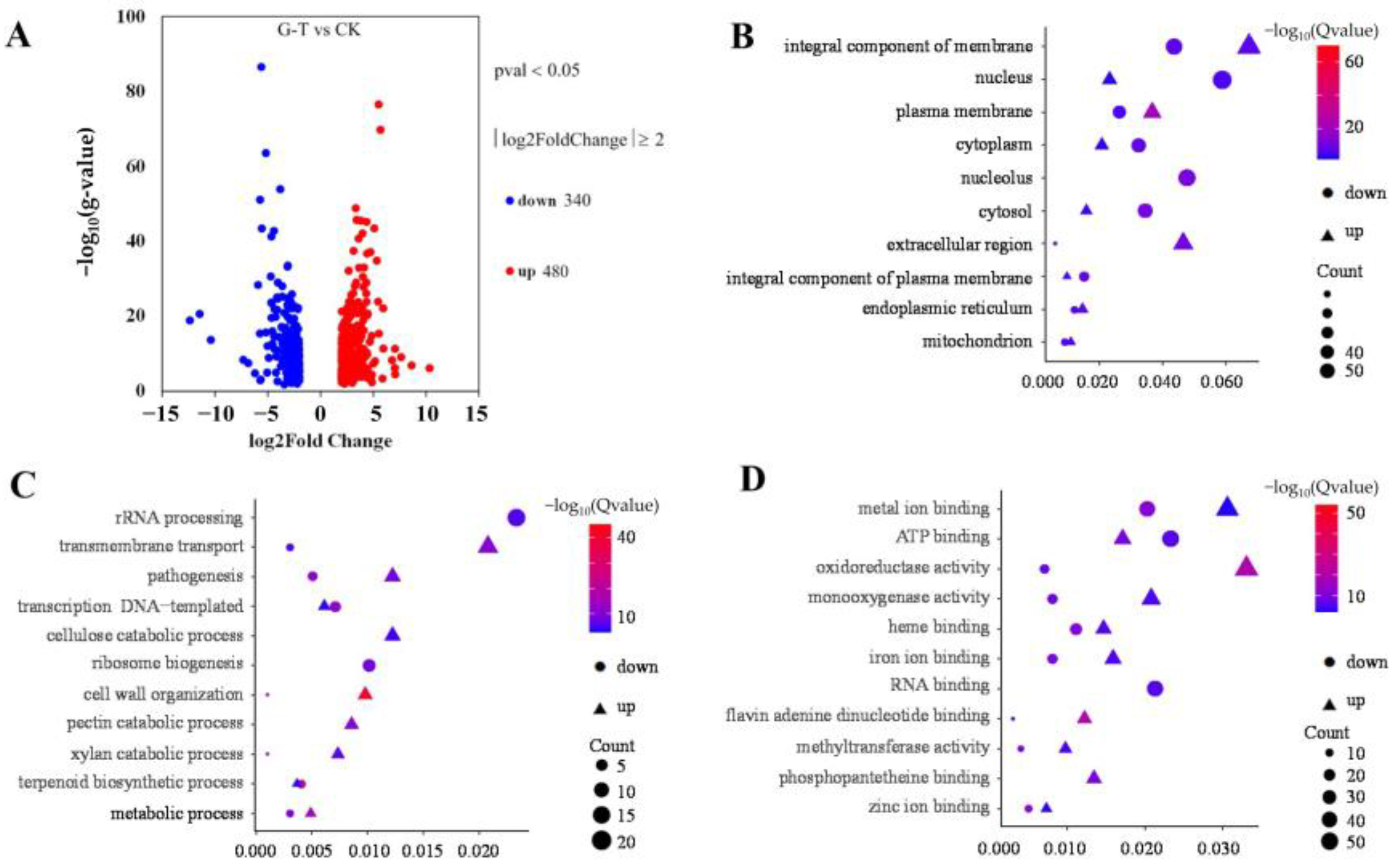 Foods 12 00567 g005 Foods 12 00567 g005