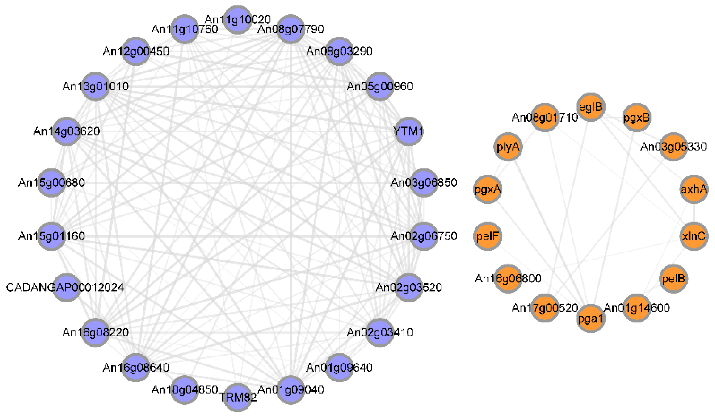 Foods 12 00567 g007 Foods 12 00567 g007