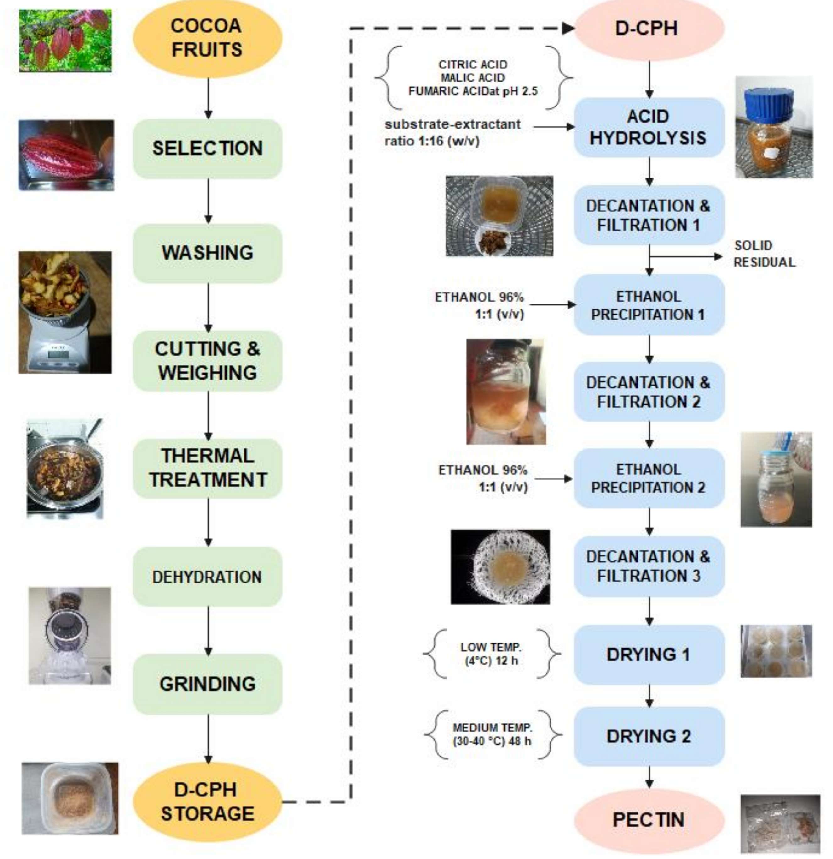 Foods 12 00590 g001 Foods 12 00590 g001