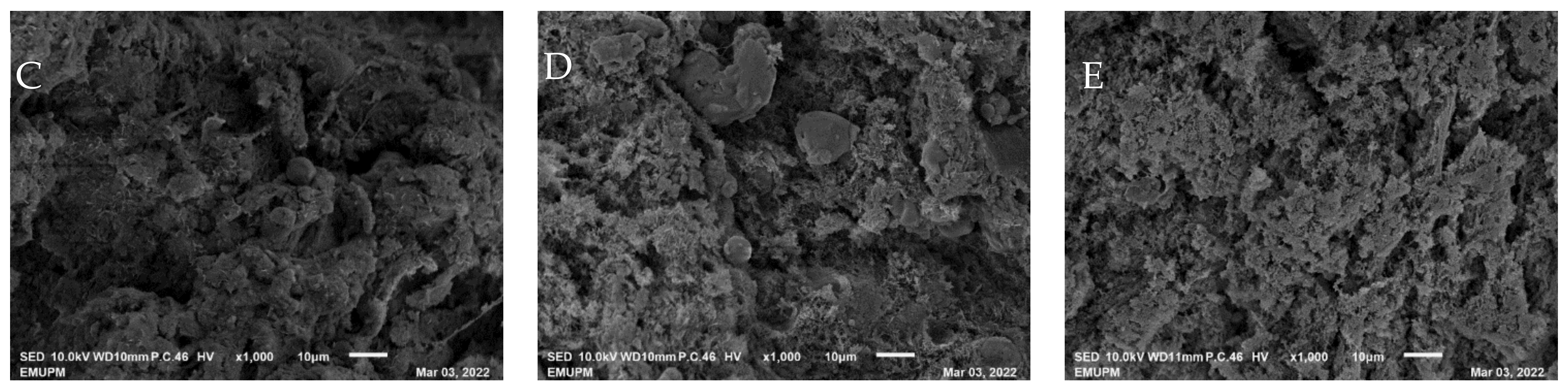 Foods 12 00597 g005b Foods 12 00597 g005b