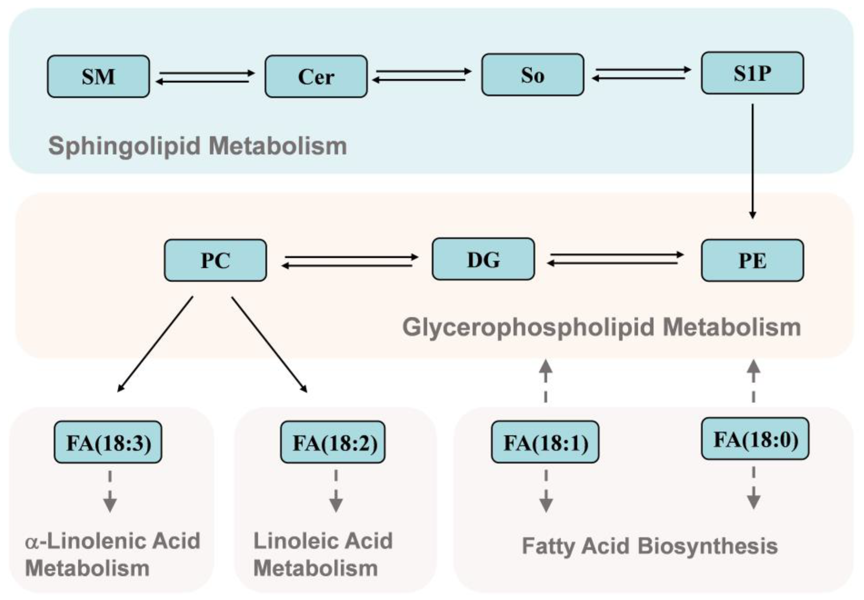 Foods 12 00625 g005 Foods 12 00625 g005