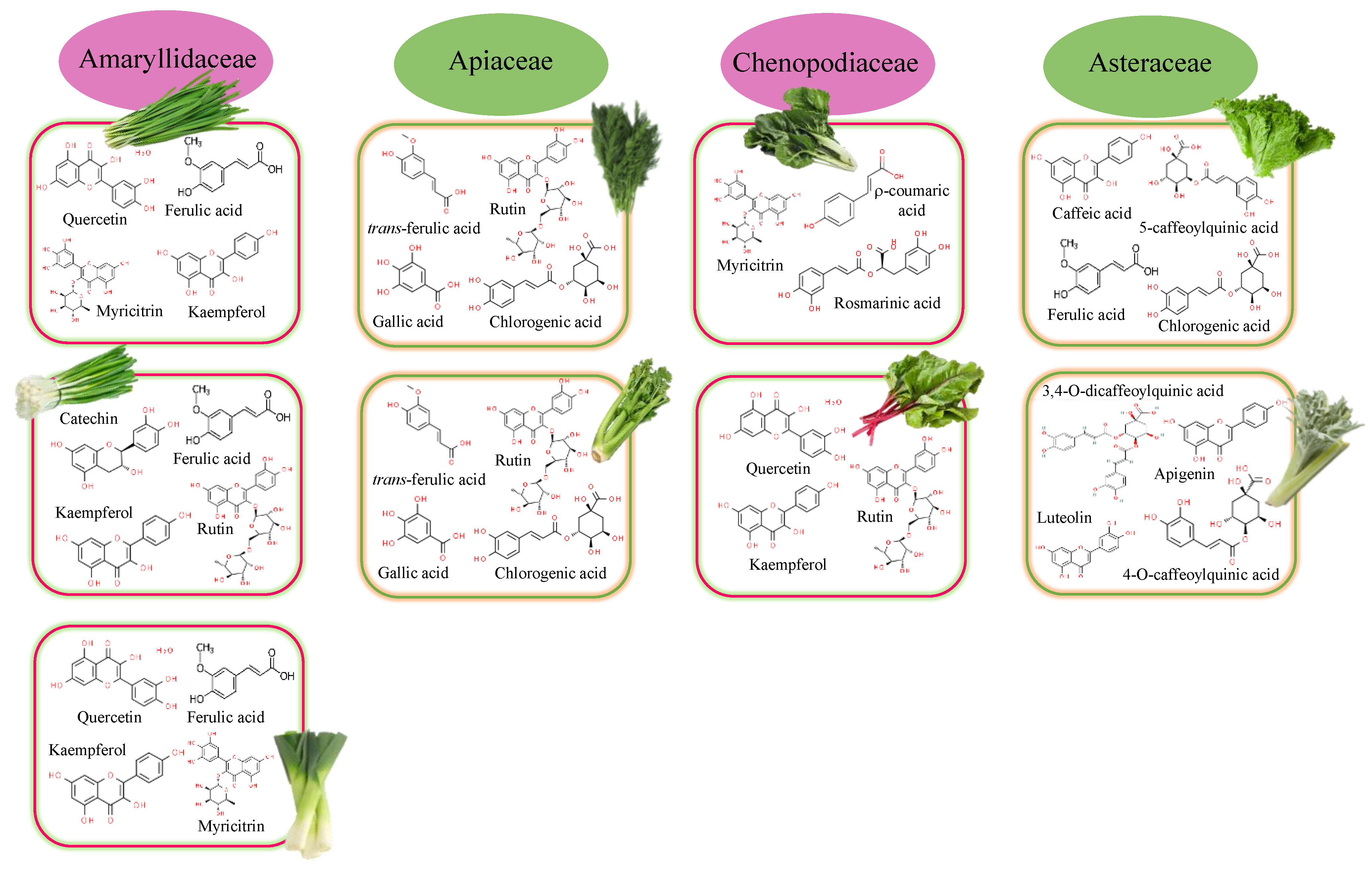 Foods 12 00637 g002 Foods 12 00637 g002