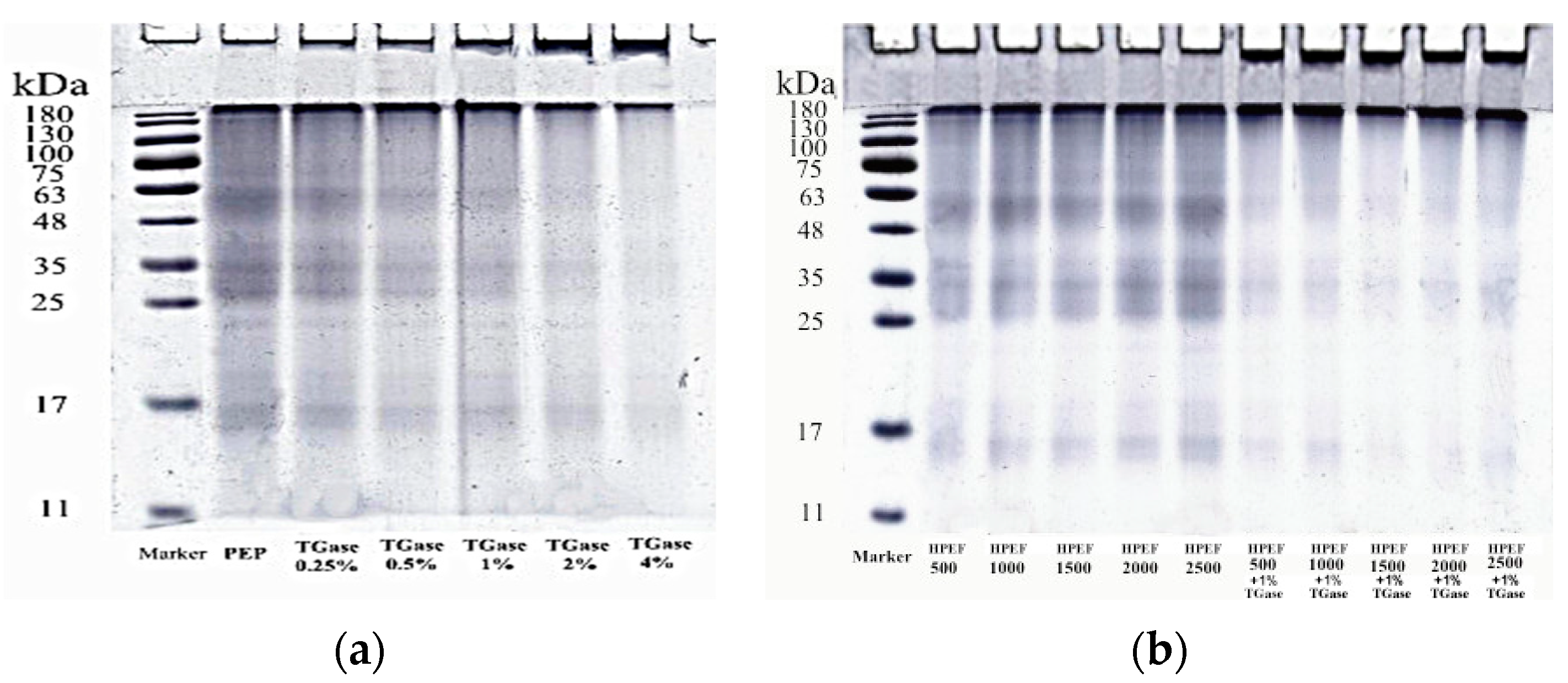 Foods 12 00647 g003 Foods 12 00647 g003