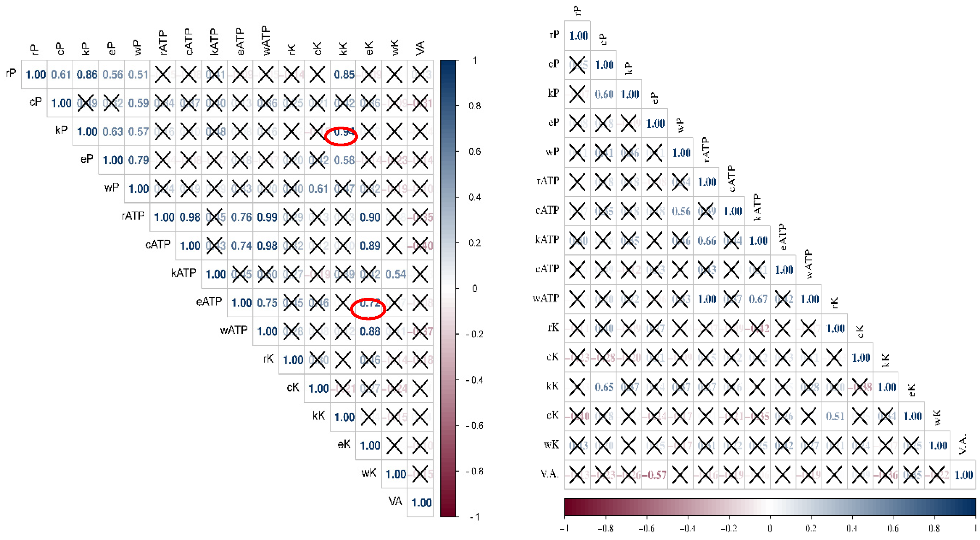 Foods 12 00772 g006 Foods 12 00772 g006