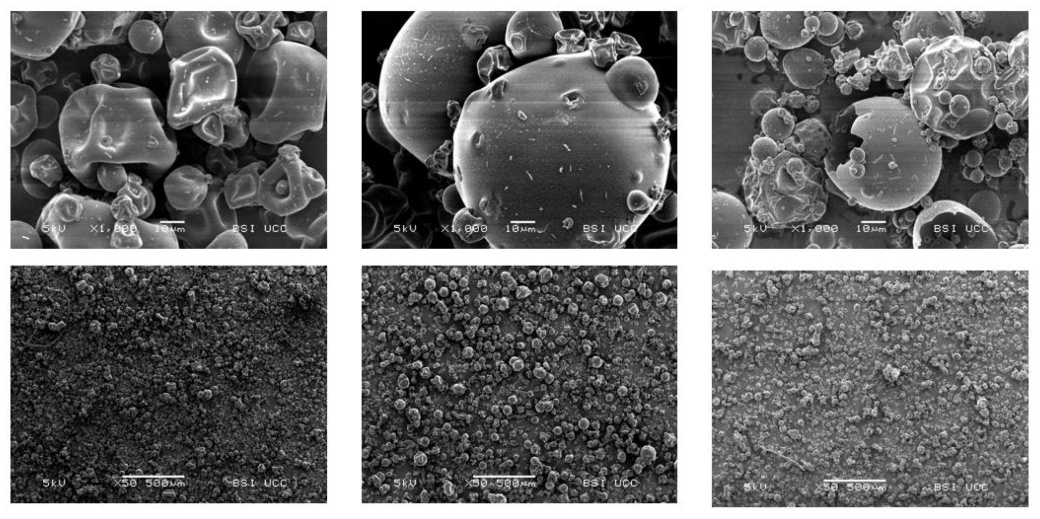 Foods 12 00798 g007 Foods 12 00798 g007