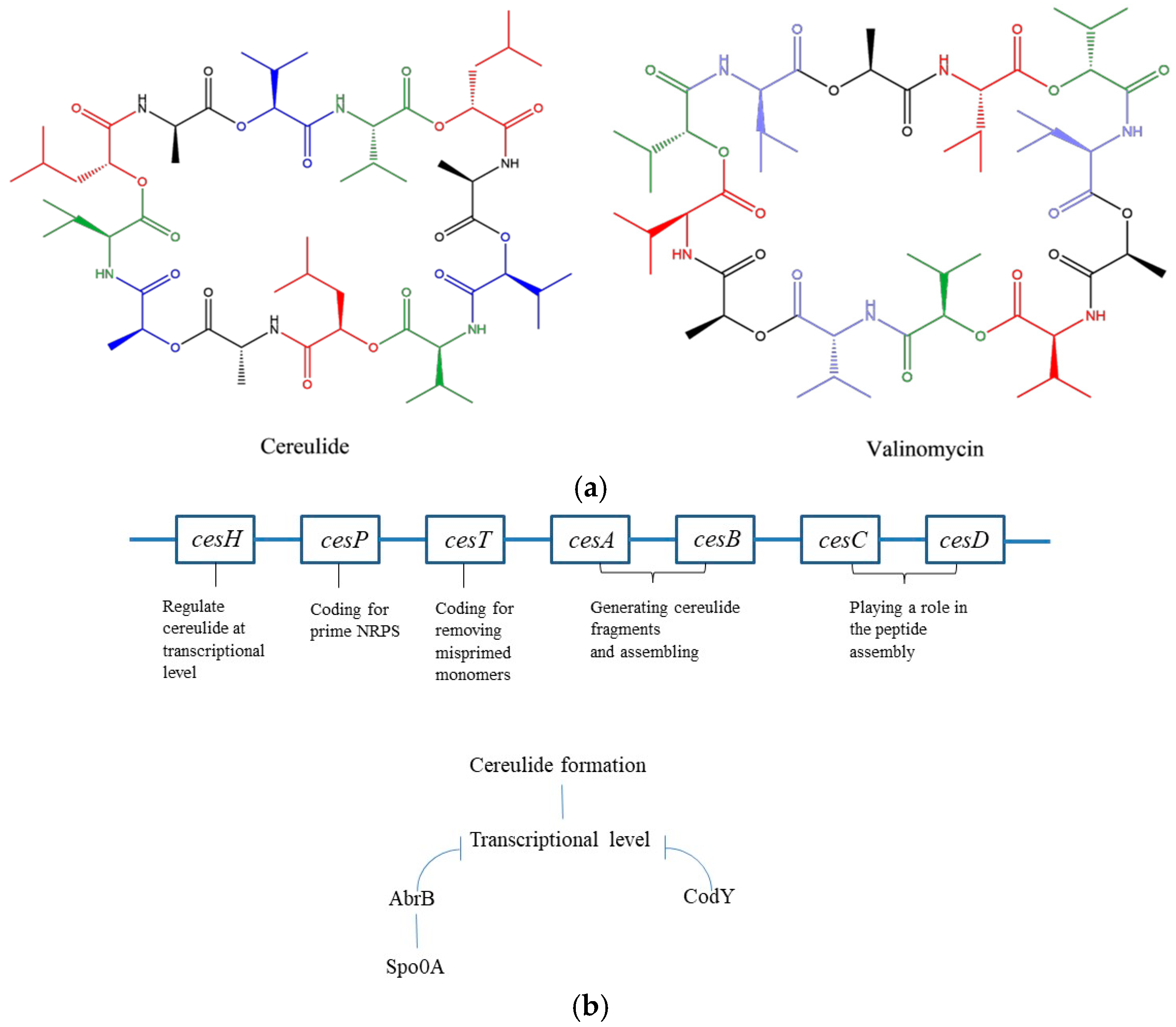 Foods 12 00833 g001 Foods 12 00833 g001