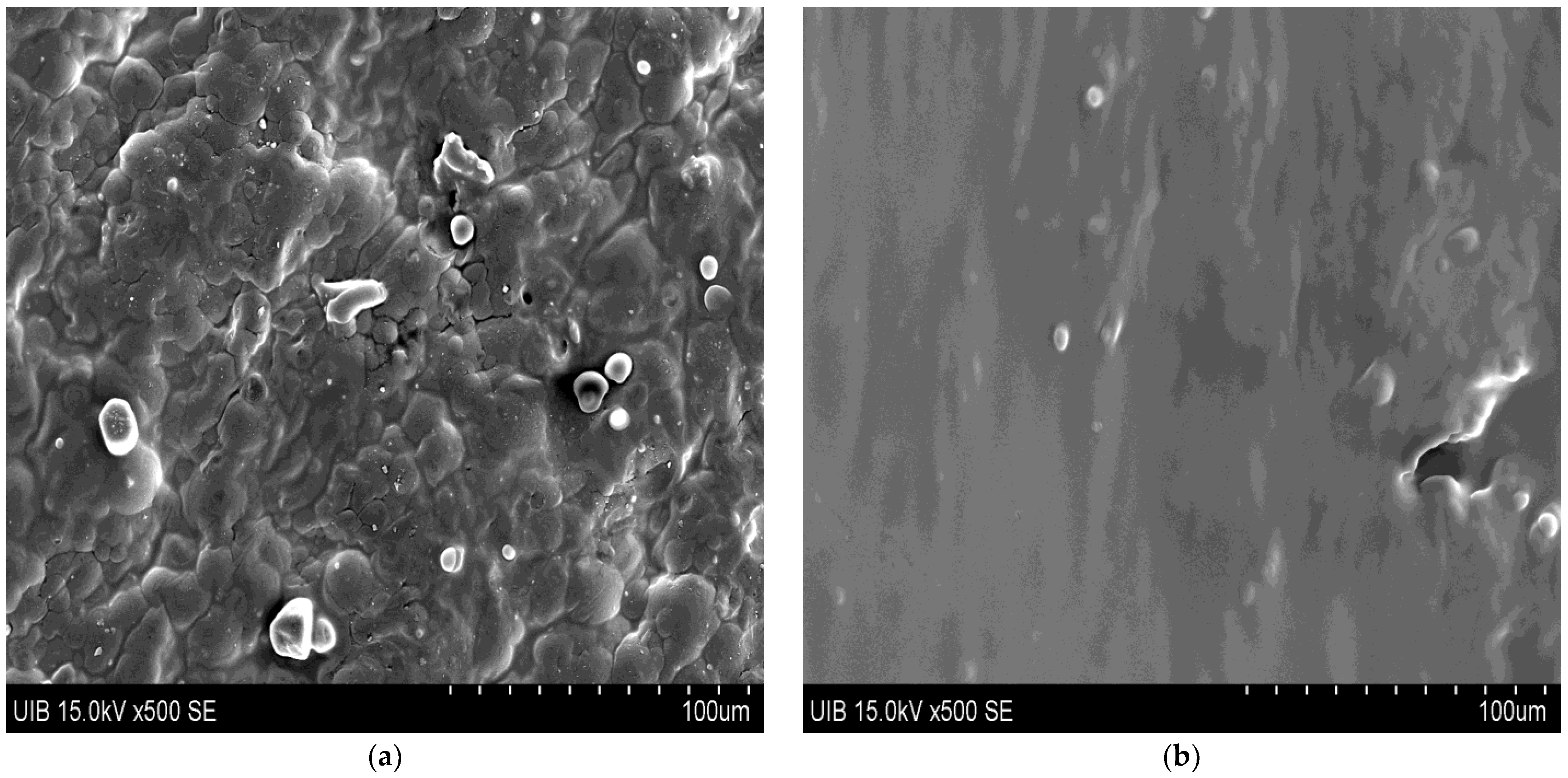 Foods 12 00850 g001a