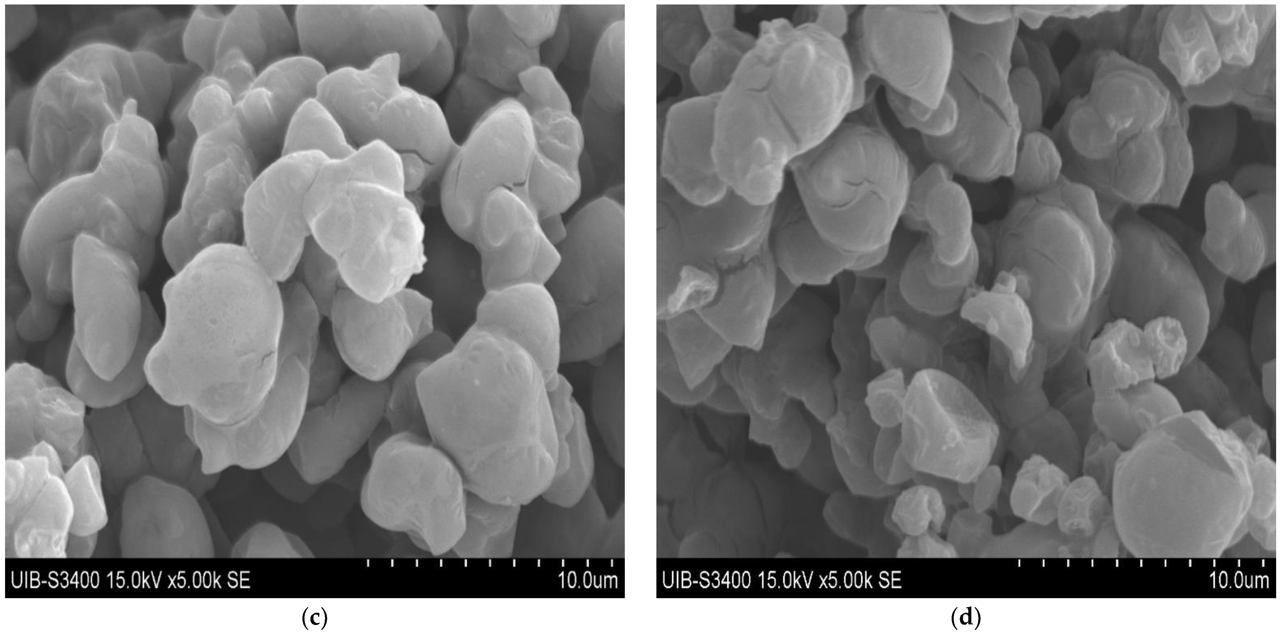 Foods 12 00850 g001b