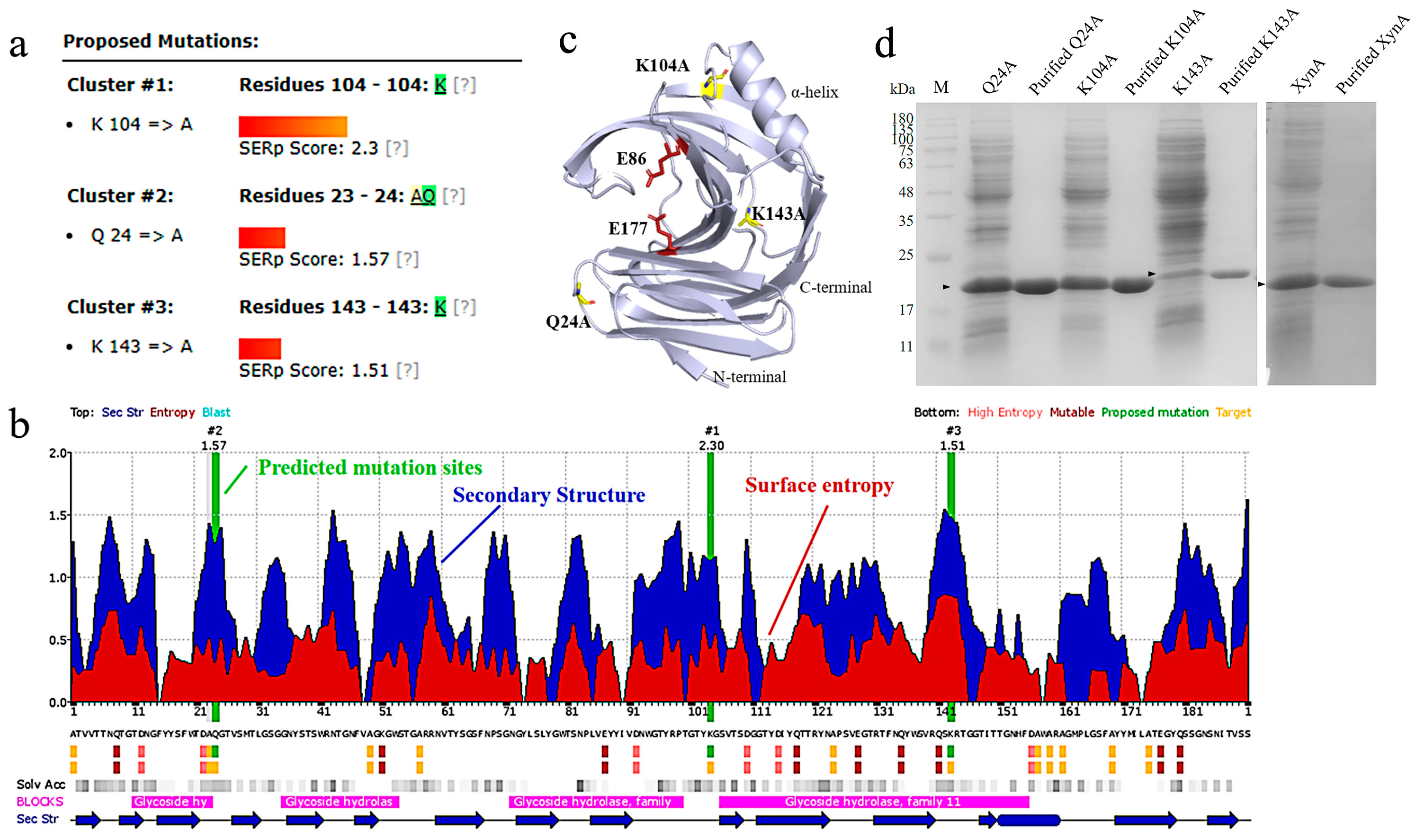 Foods 12 00879 g001 Foods 12 00879 g001