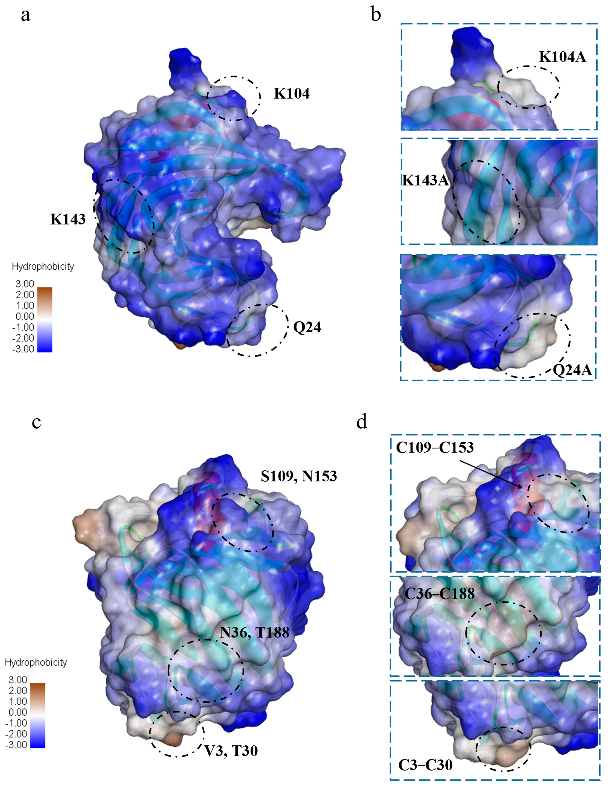 Foods 12 00879 g006 Foods 12 00879 g006