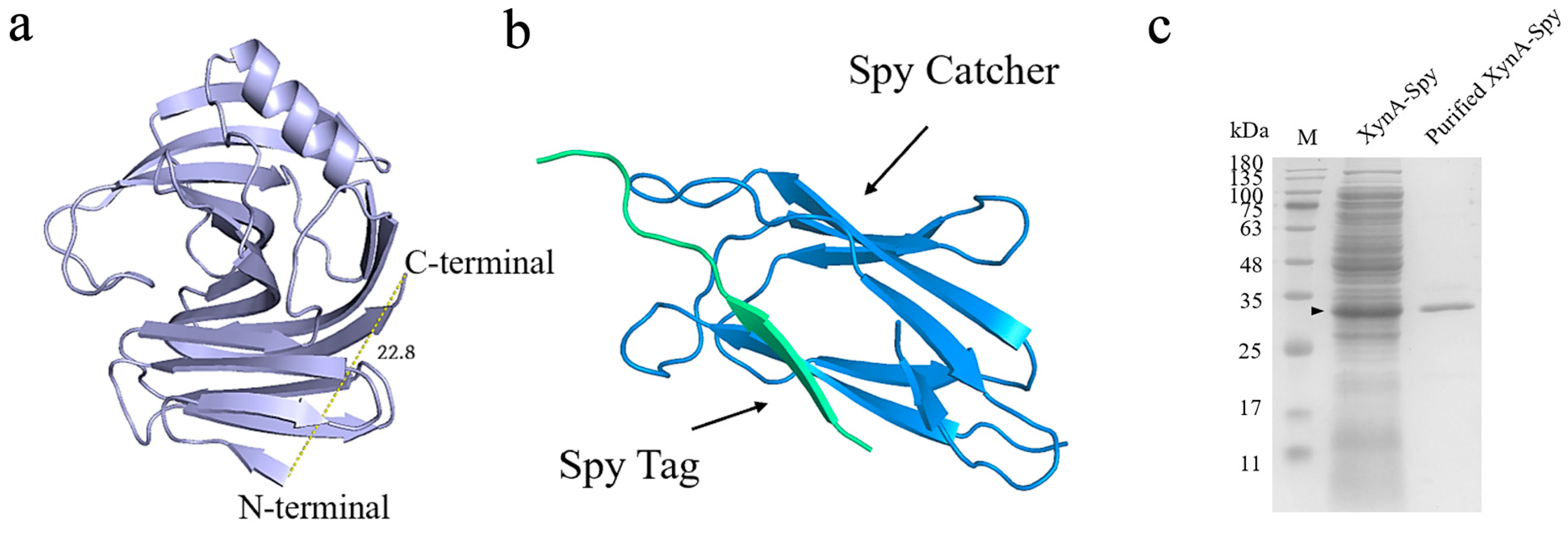 Foods 12 00879 g010 Foods 12 00879 g010