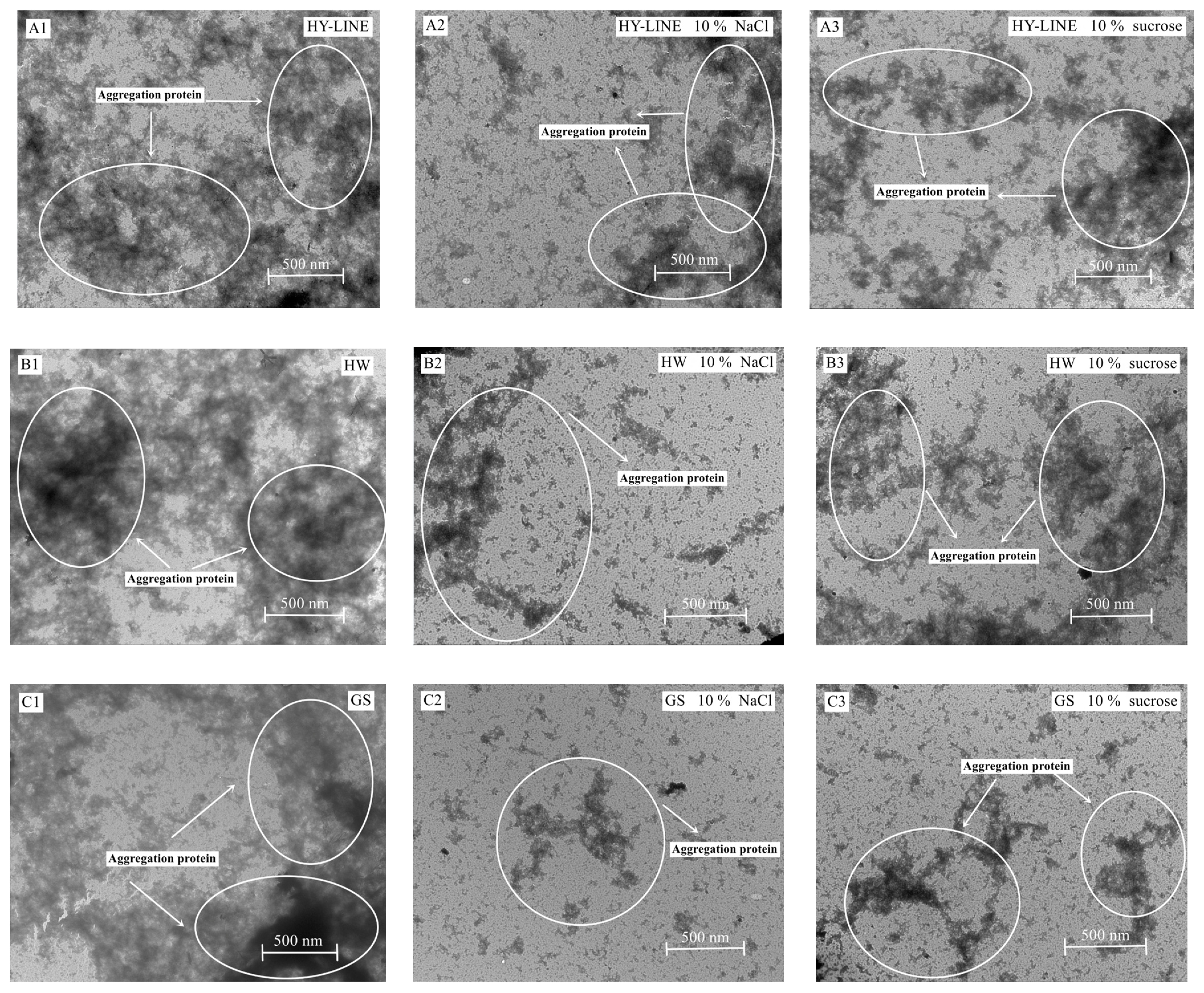 Foods 12 00881 g006a