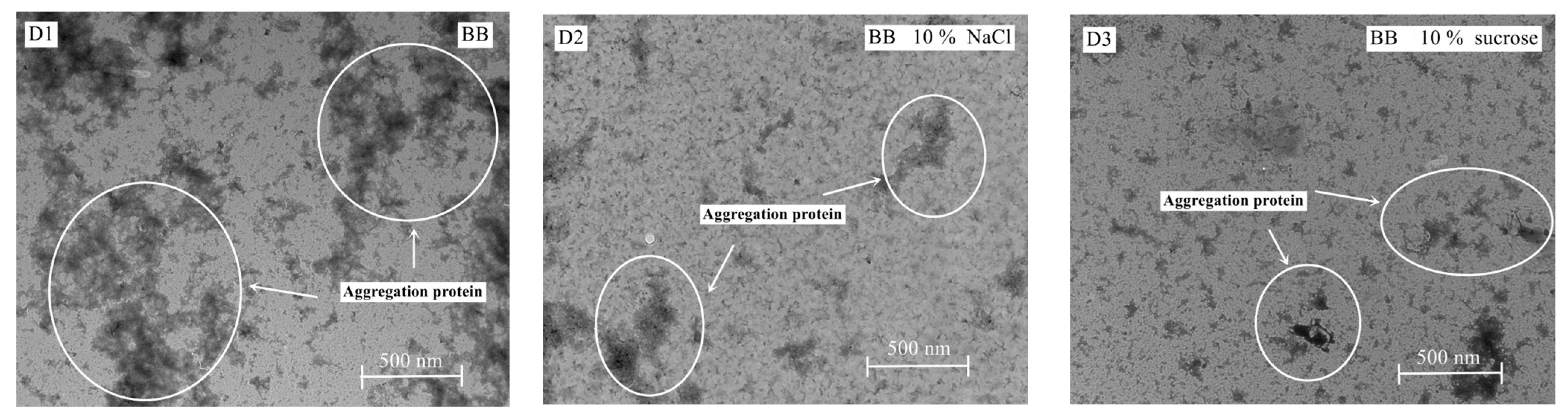 Foods 12 00881 g006b
