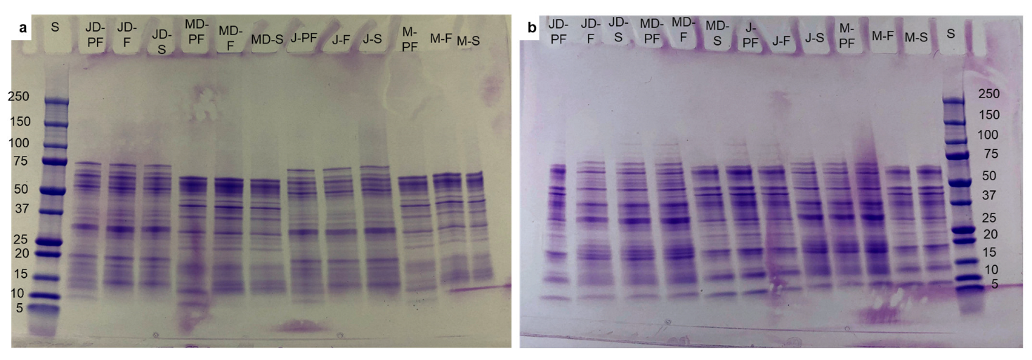 Foods 12 00908 g002 Foods 12 00908 g002