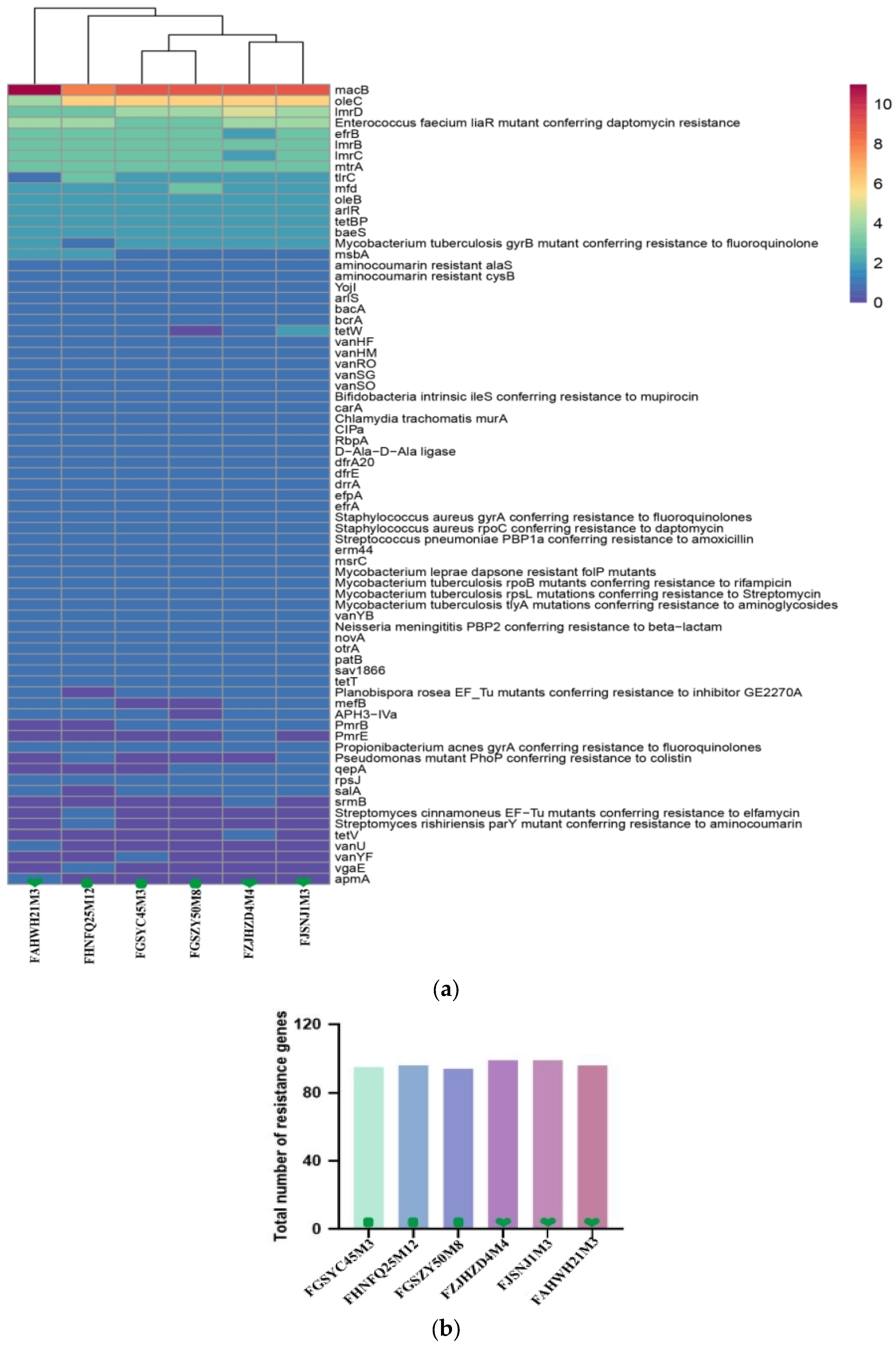Foods 12 00922 g006 Foods 12 00922 g006