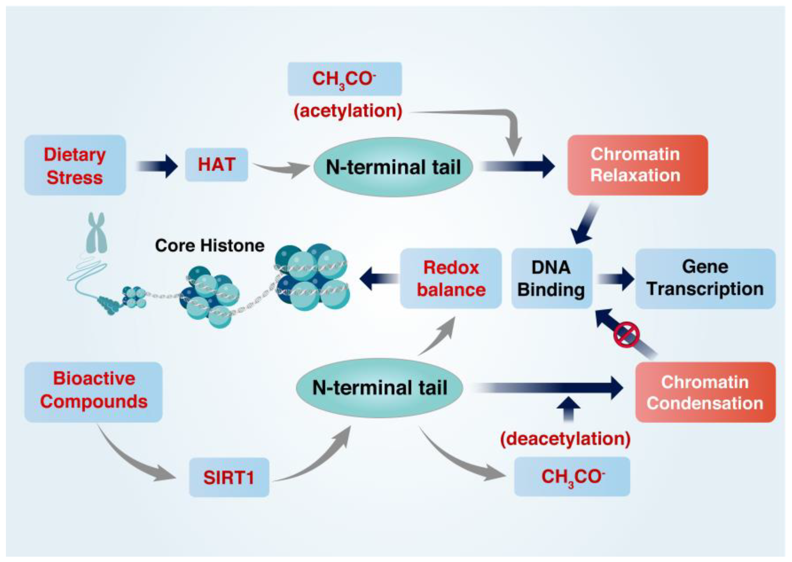Foods 12 00925 g002 Foods 12 00925 g002