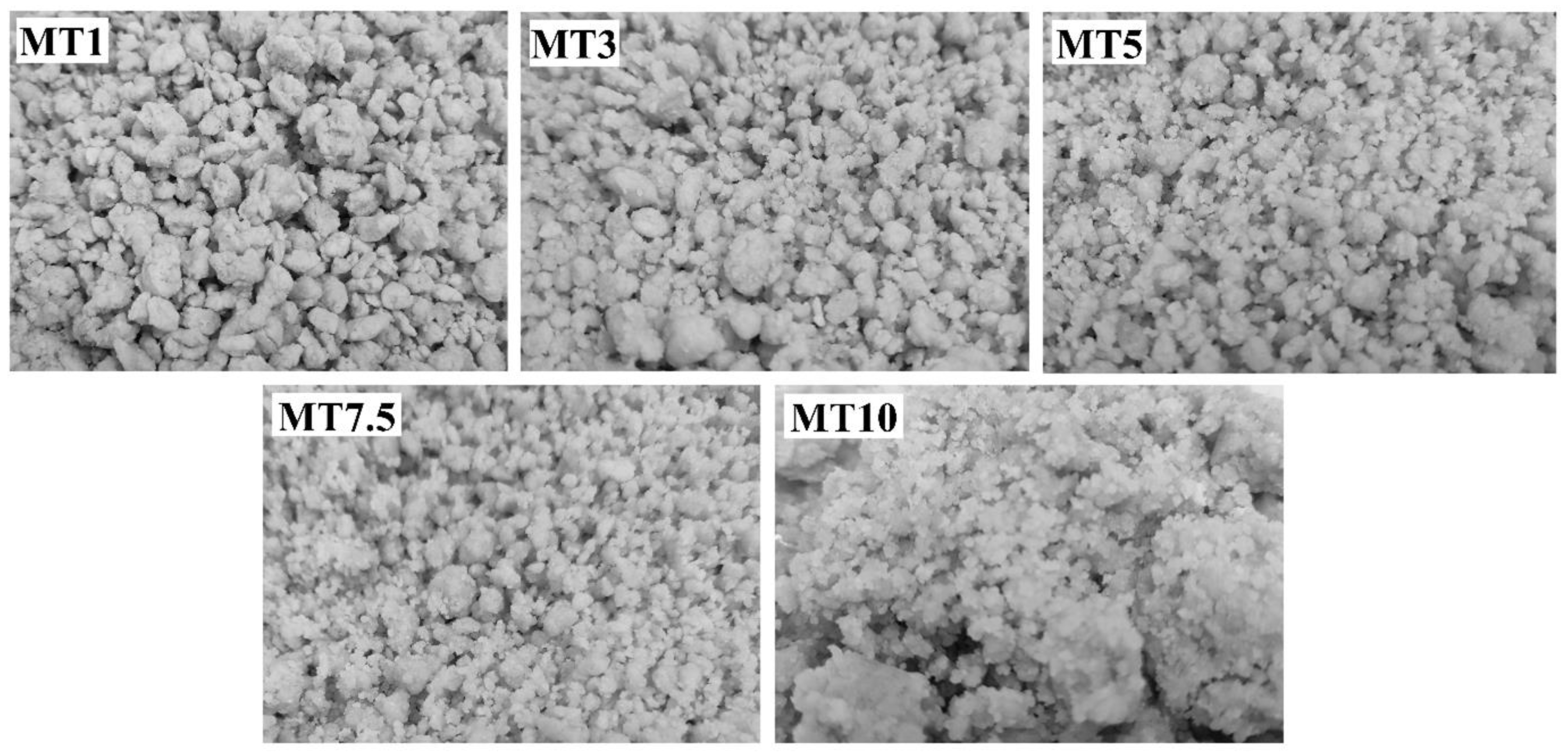 Foods 12 00941 g001 Foods 12 00941 g001