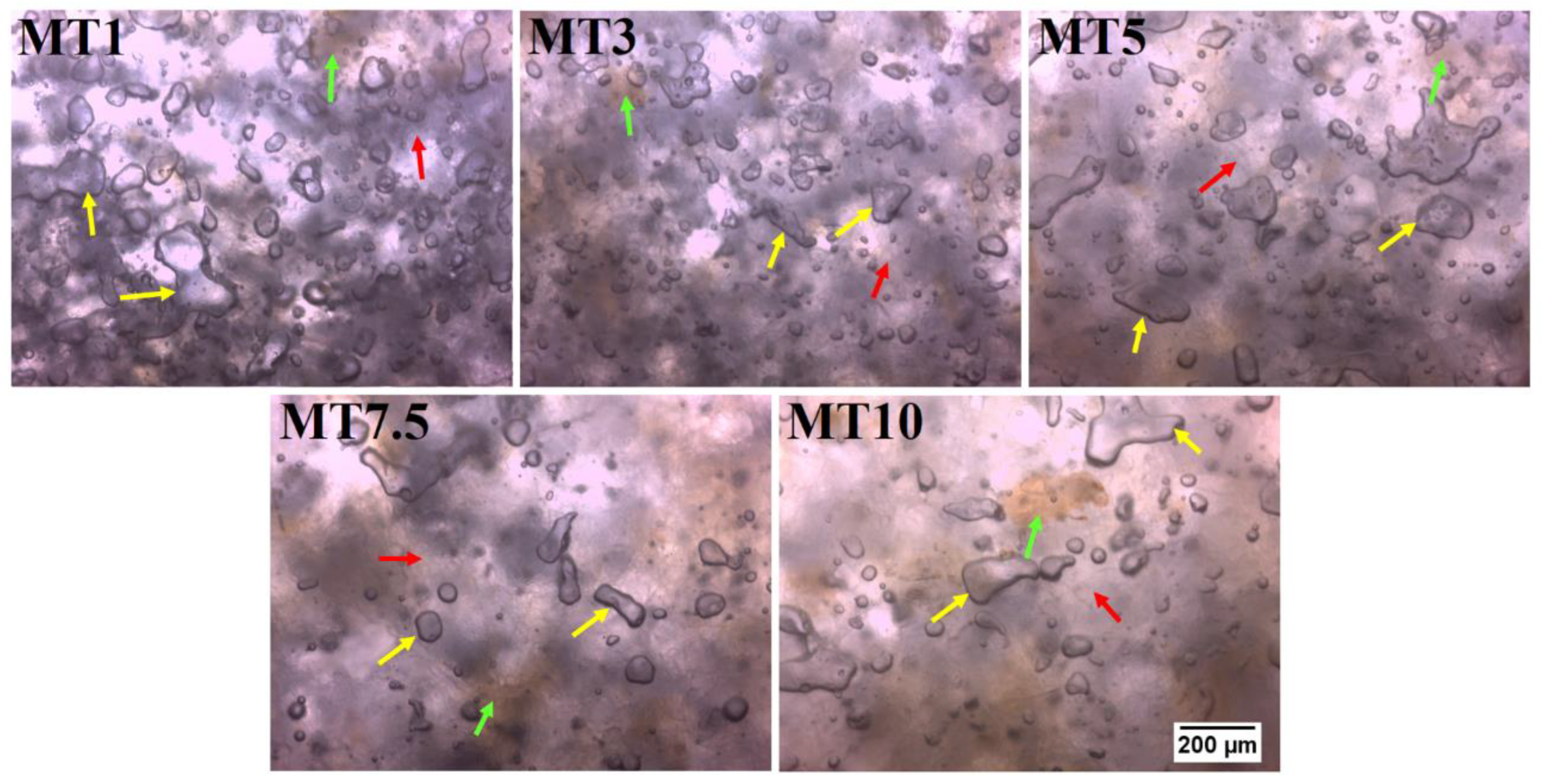 Foods 12 00941 g003 Foods 12 00941 g003