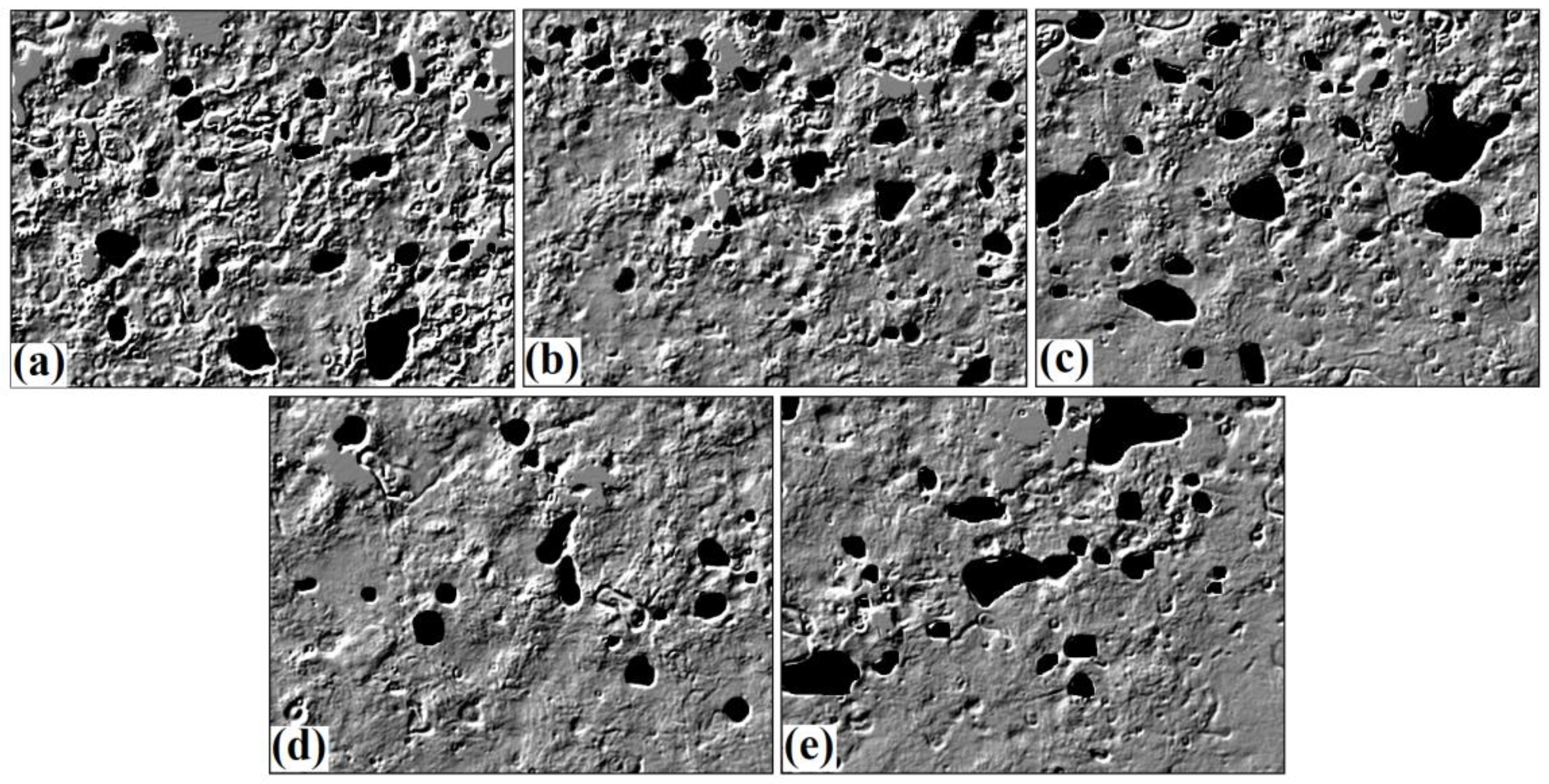 Foods 12 00941 g004 Foods 12 00941 g004
