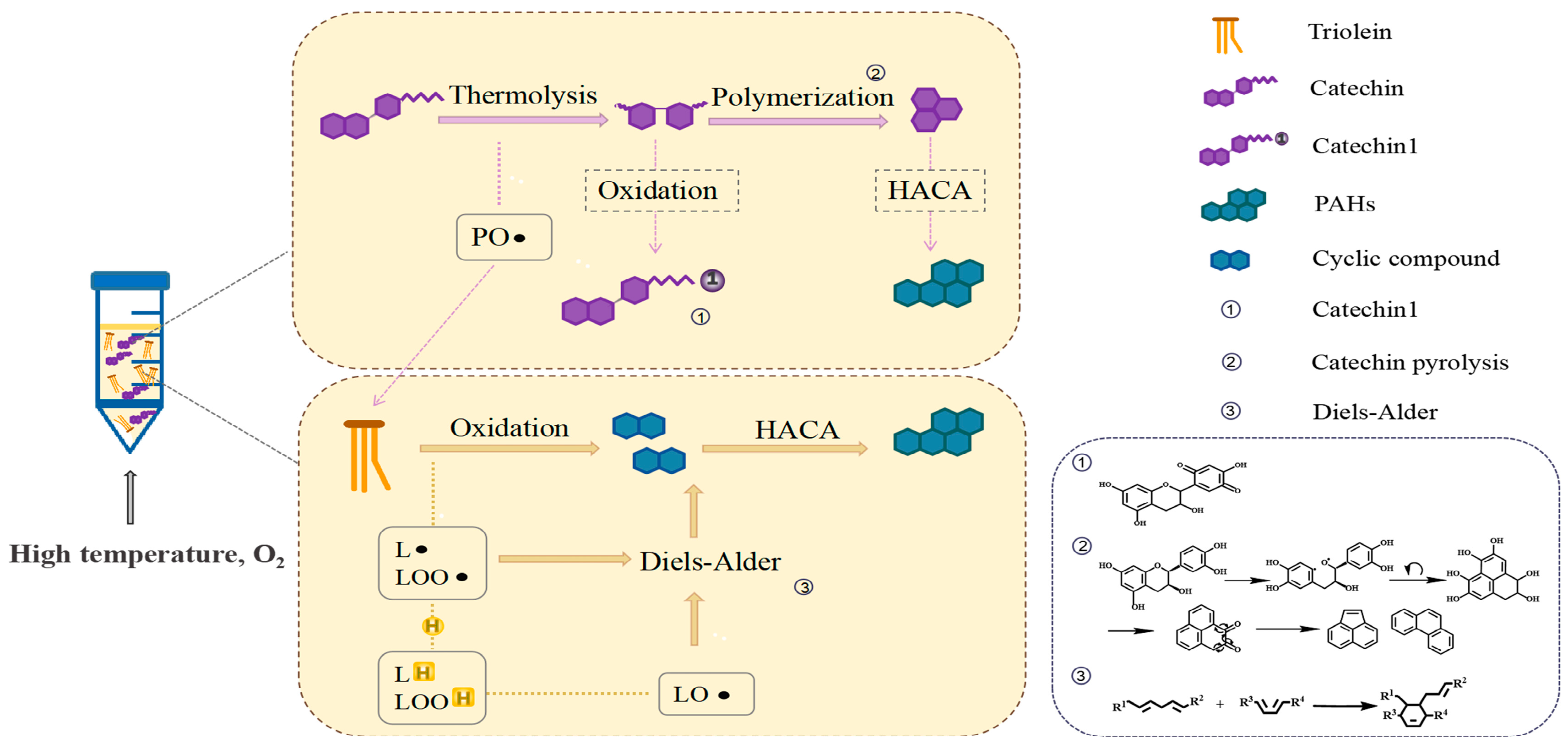 Foods 12 00980 g007 Foods 12 00980 g007