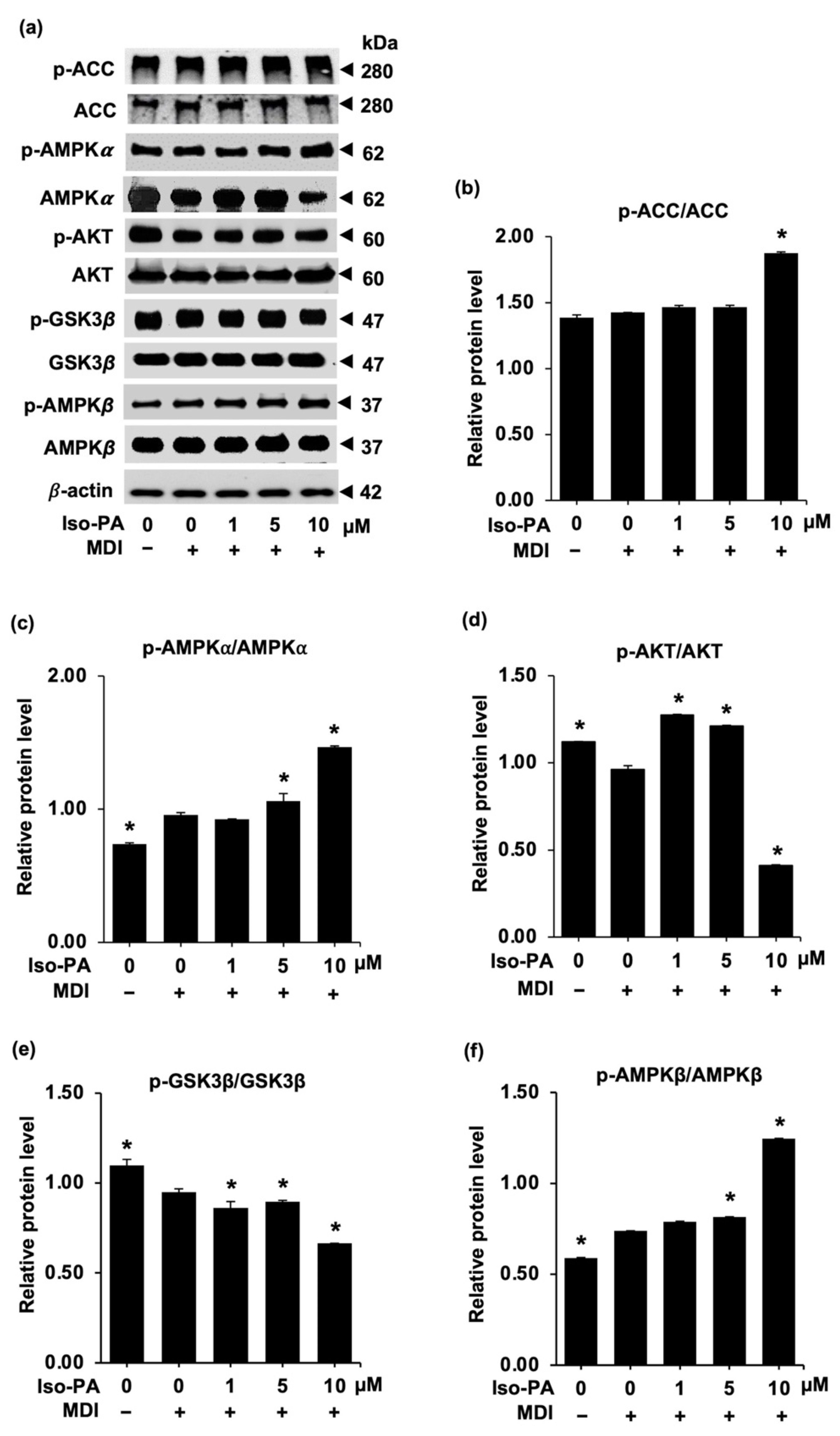 Foods 12 01014 g007 Foods 12 01014 g007