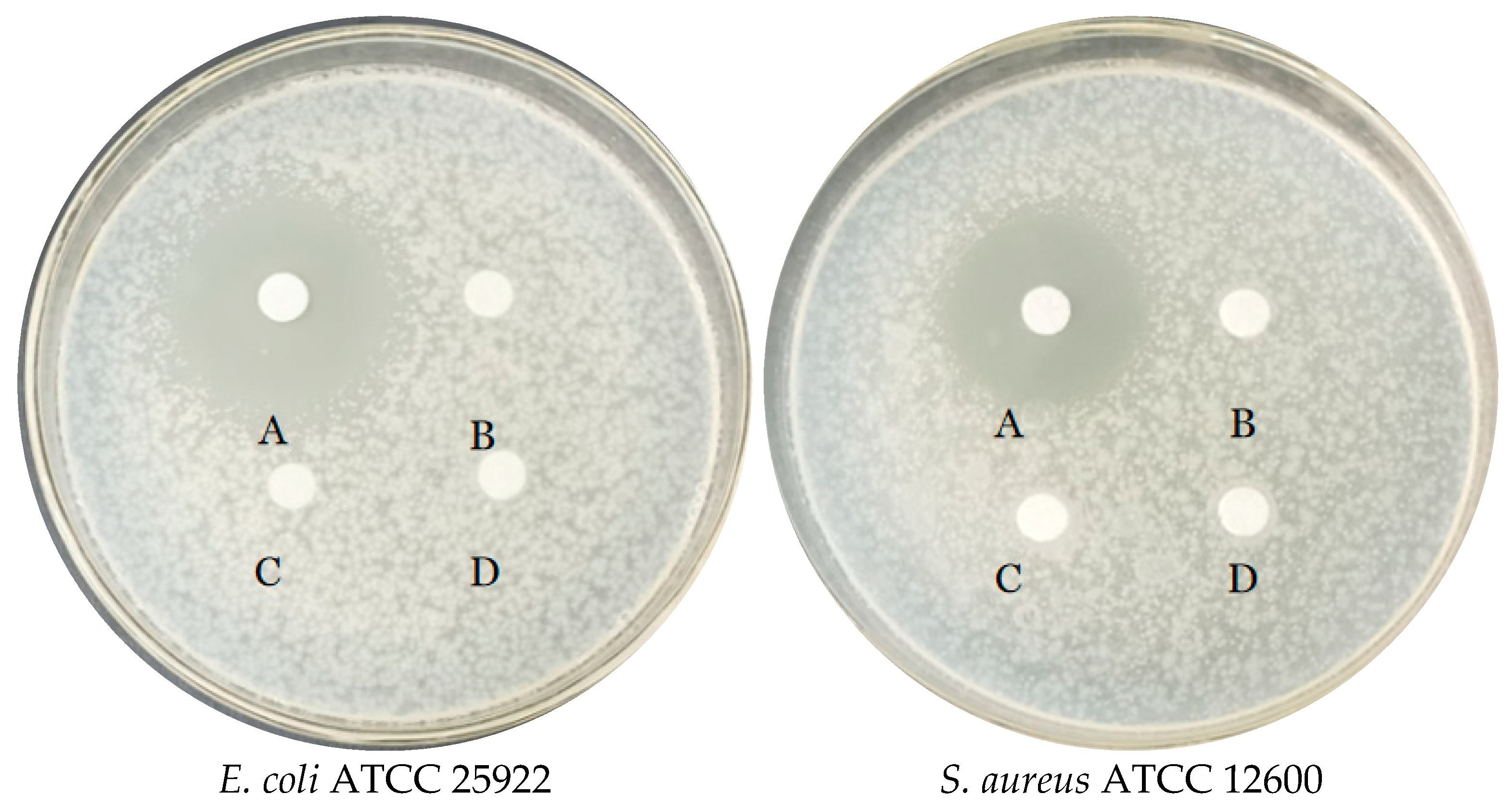 Foods 12 01021 g004a