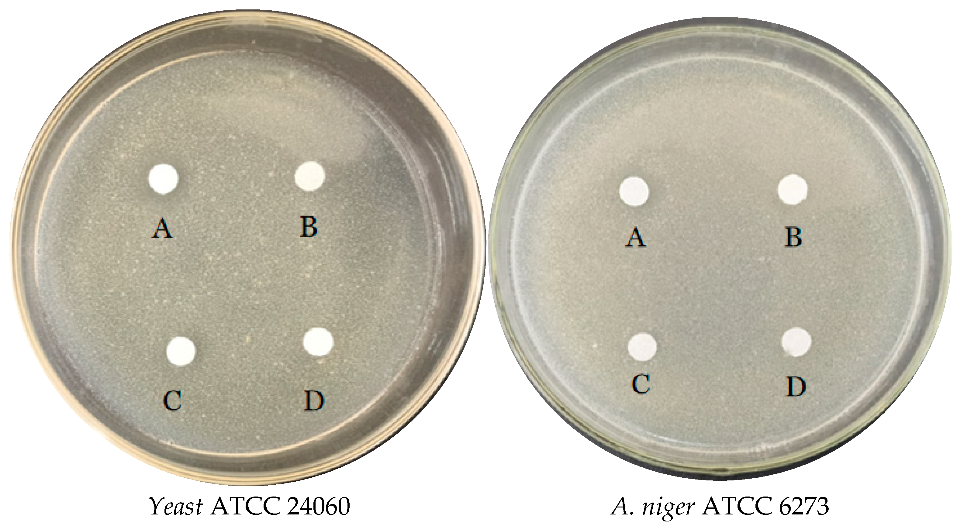 Foods 12 01021 g004b