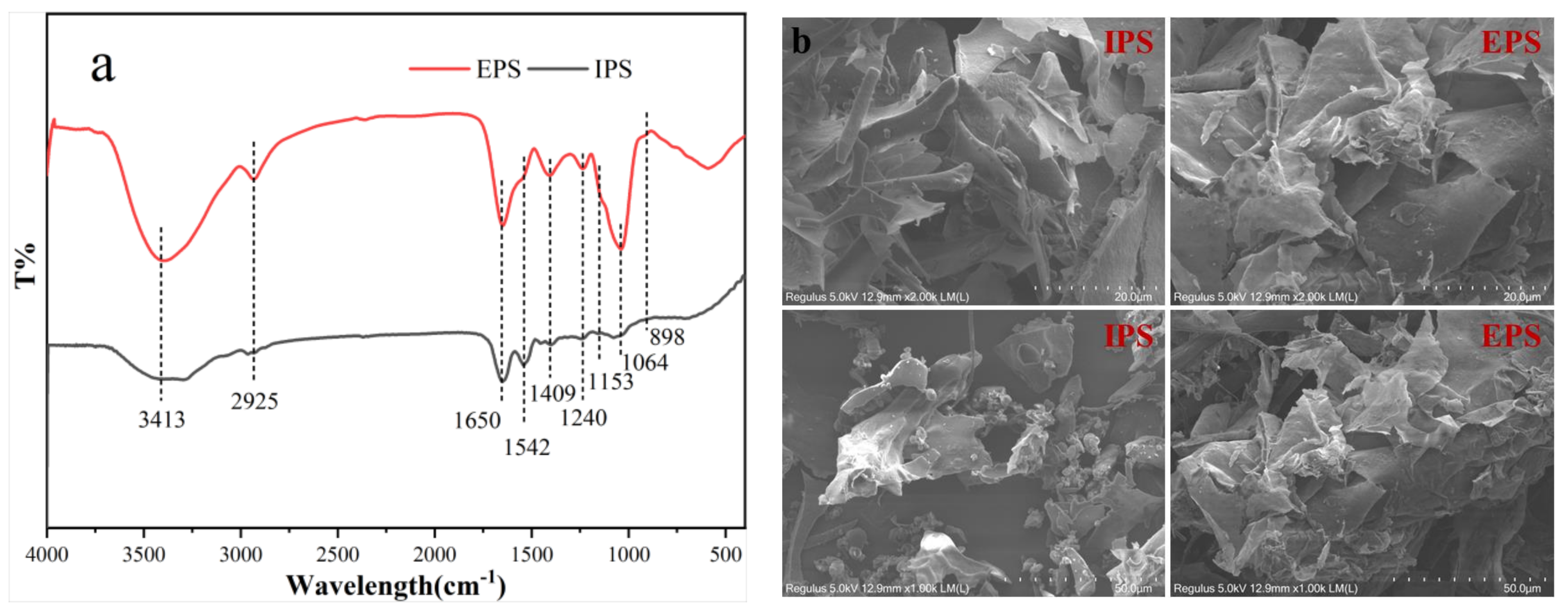 Foods 12 01067 g005 Foods 12 01067 g005