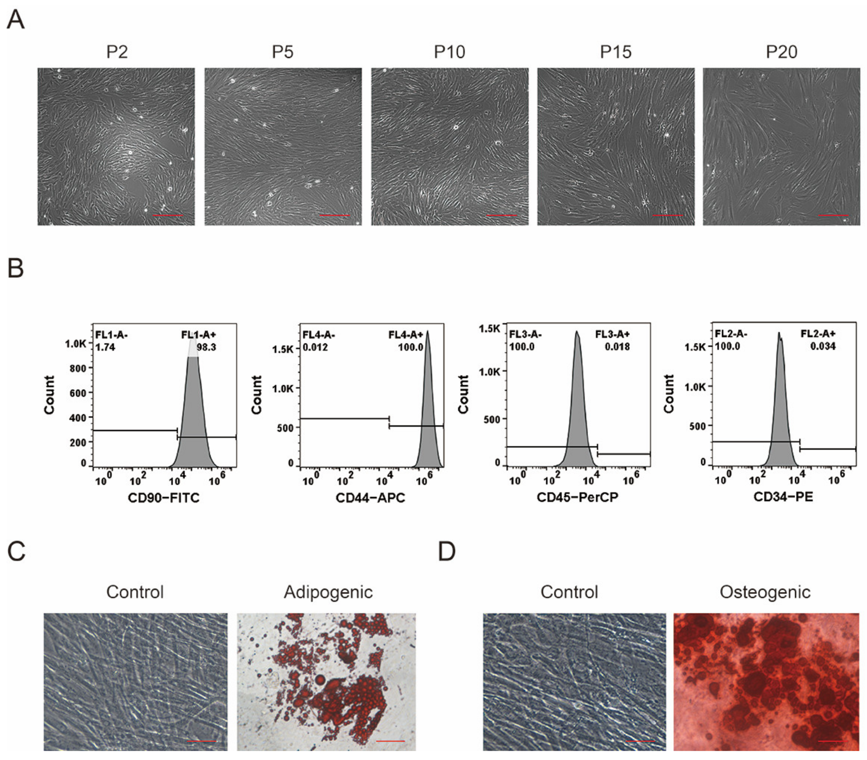 Foods 12 01075 g001 Foods 12 01075 g001
