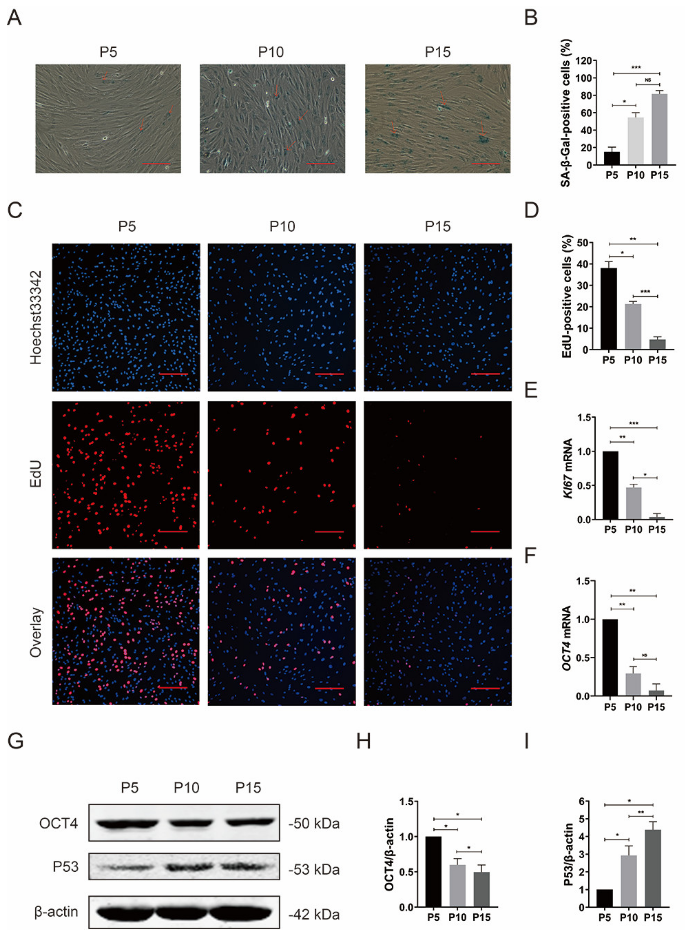 Foods 12 01075 g002 Foods 12 01075 g002