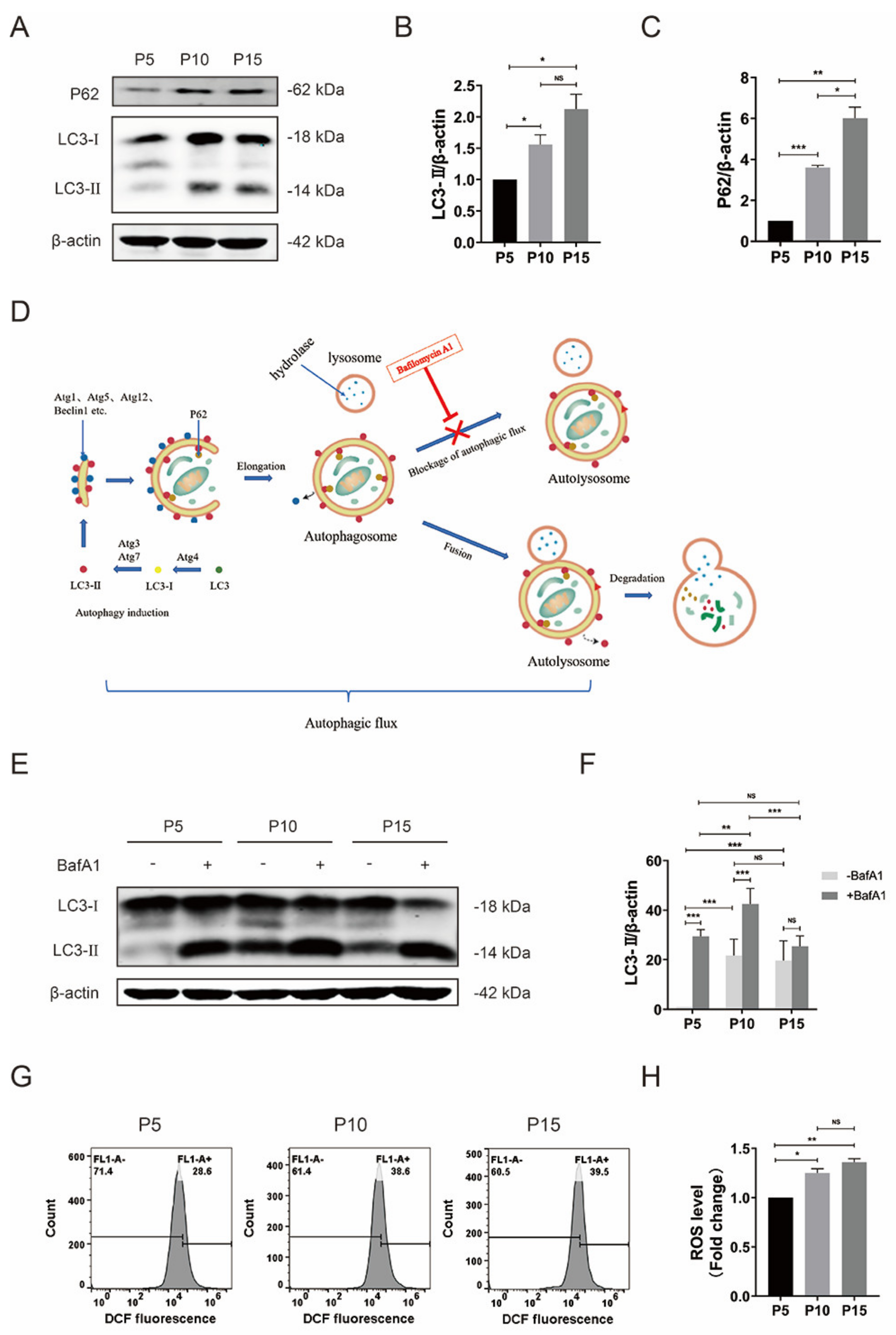 Foods 12 01075 g003 Foods 12 01075 g003