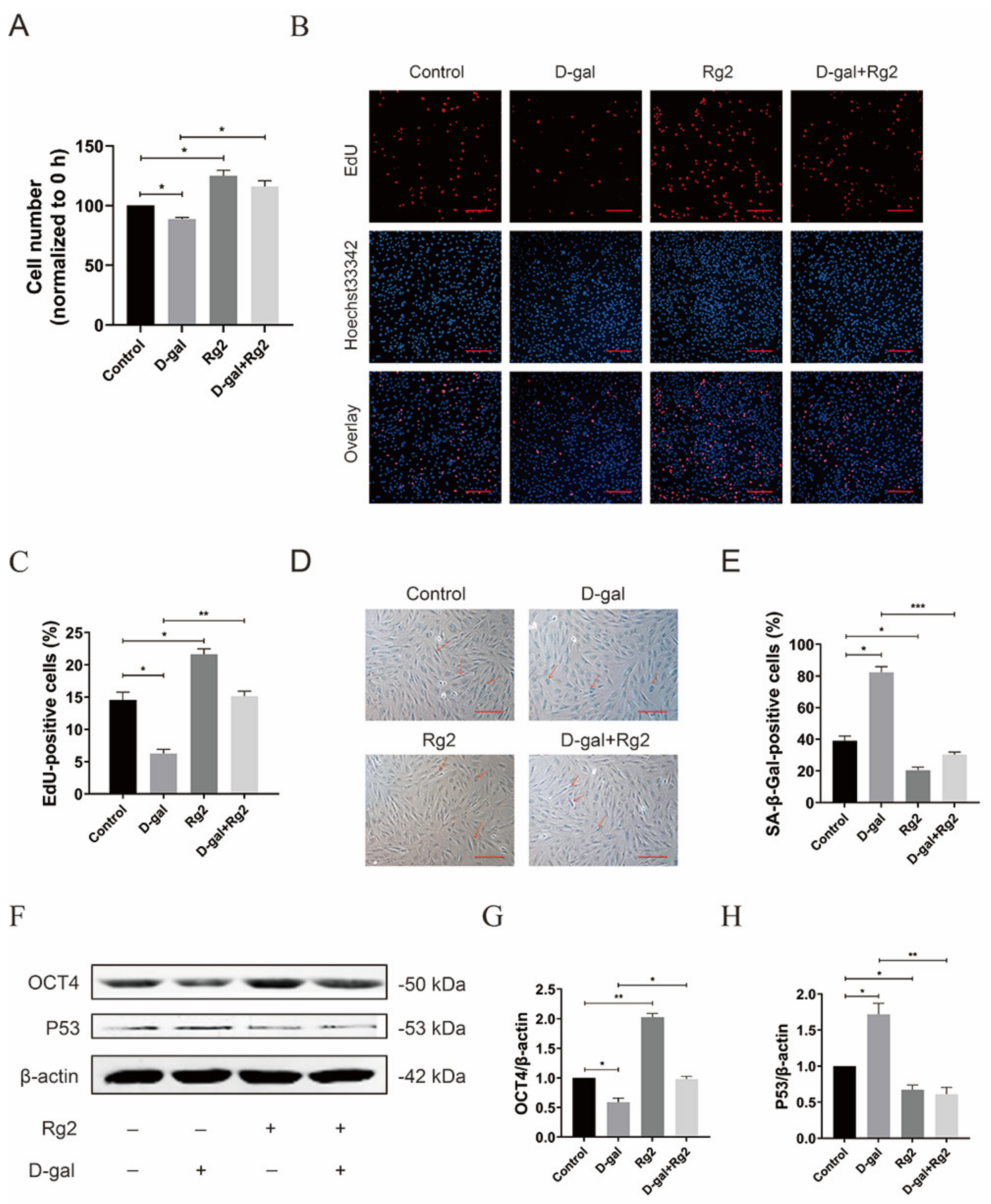Foods 12 01075 g005 Foods 12 01075 g005